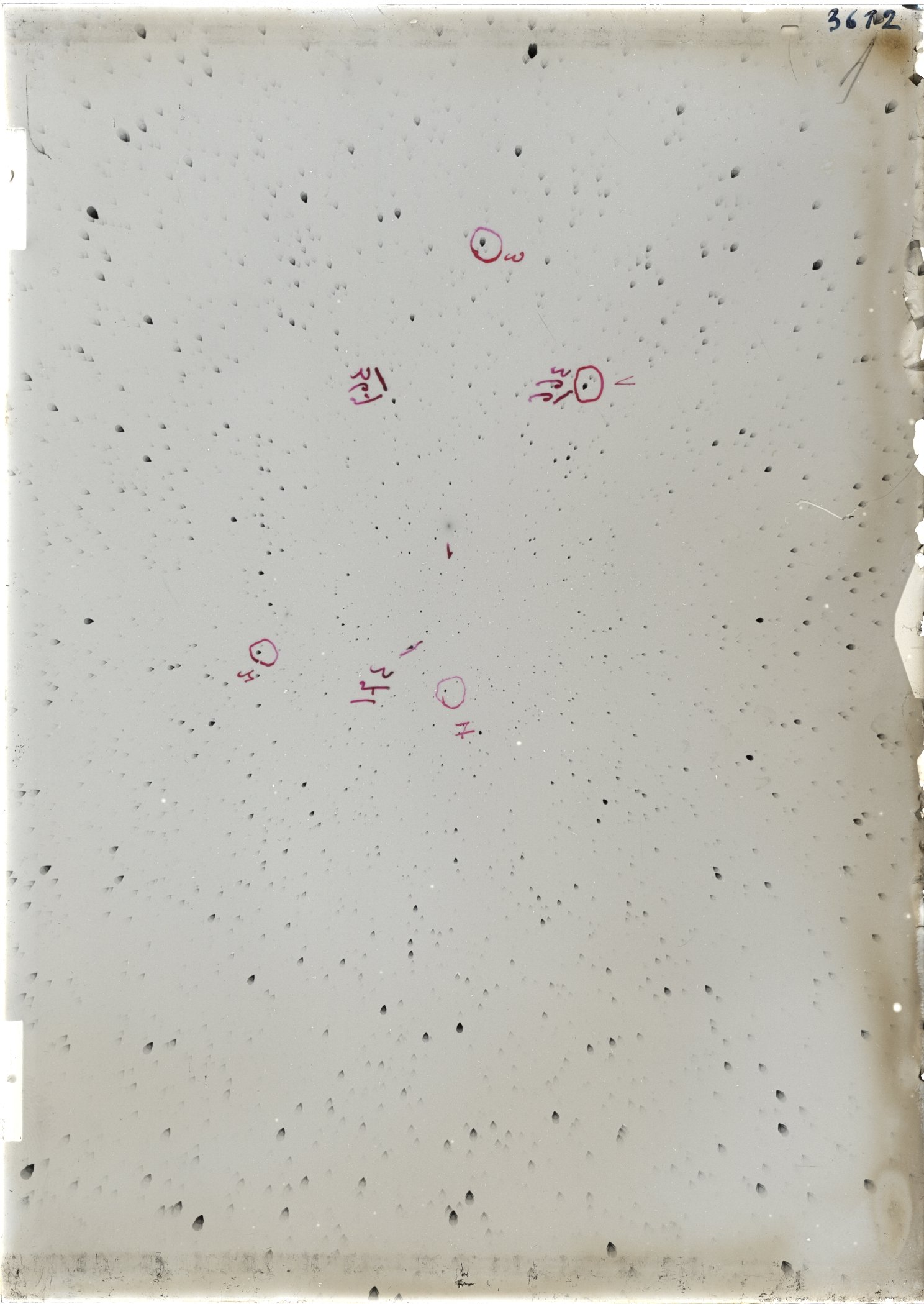 Scan ST03612