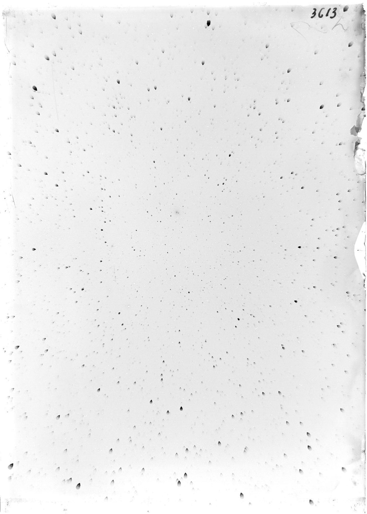 Scan ST03613