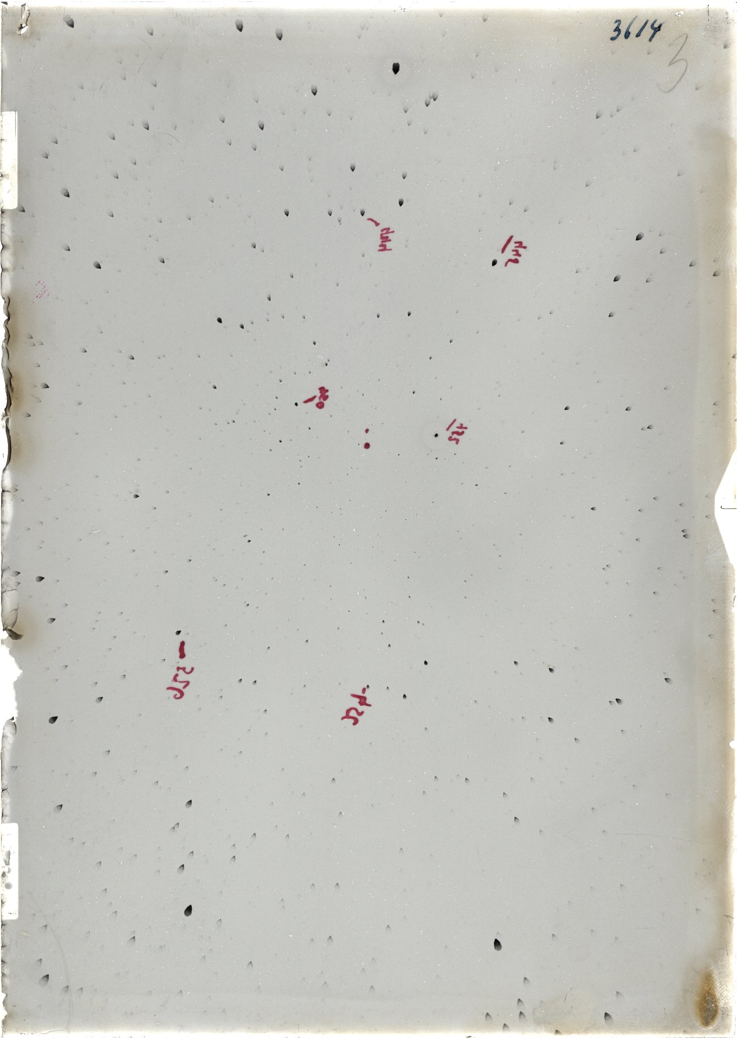 Scan ST03614