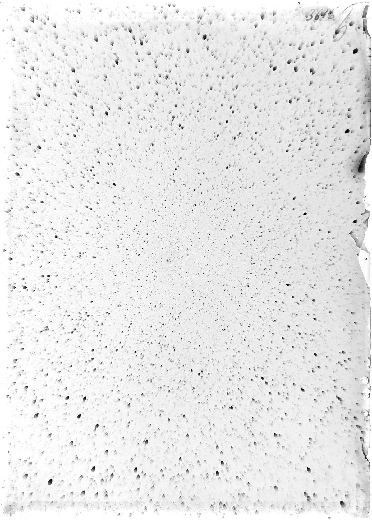 Scan ST03616