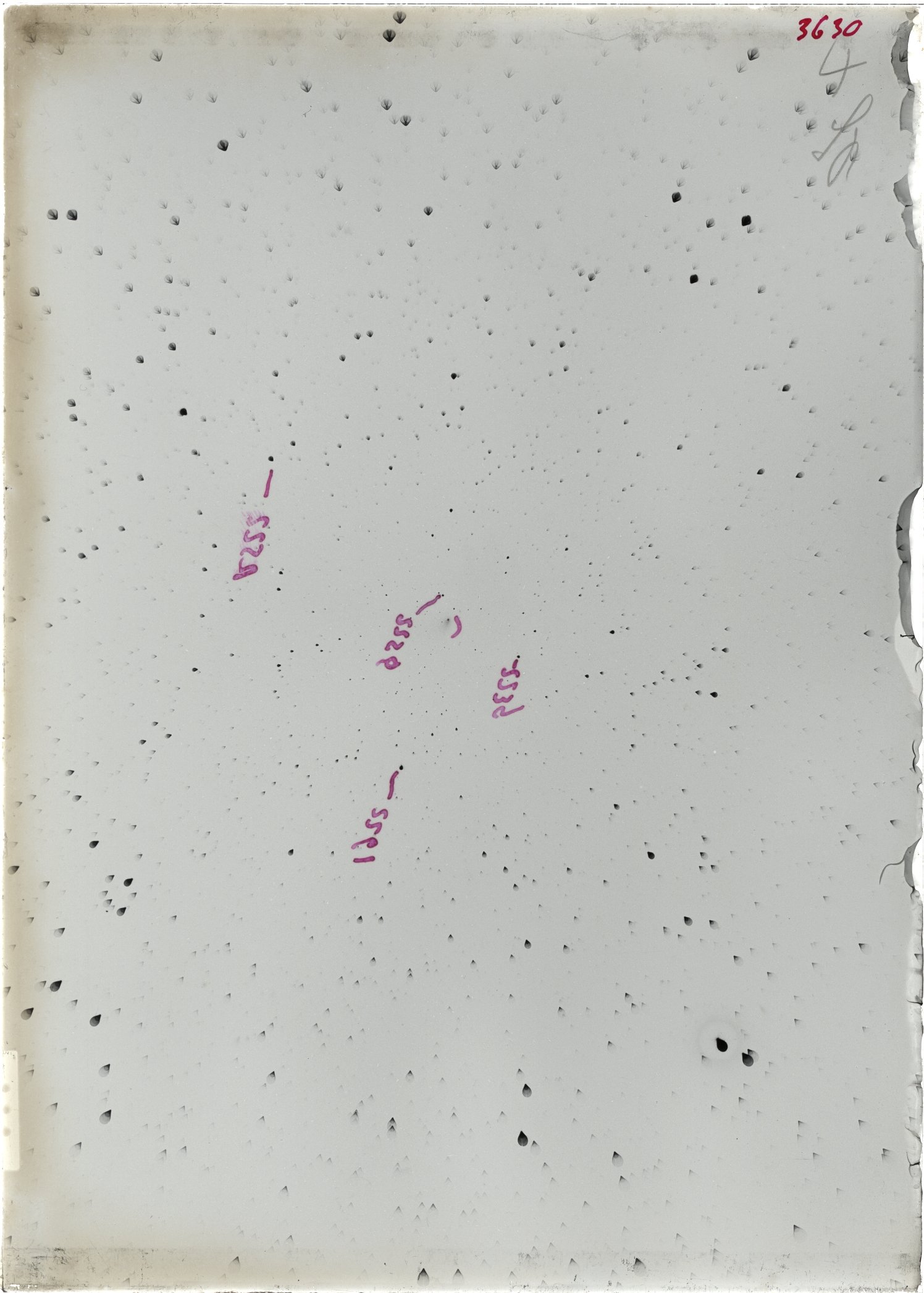 Scan ST03630