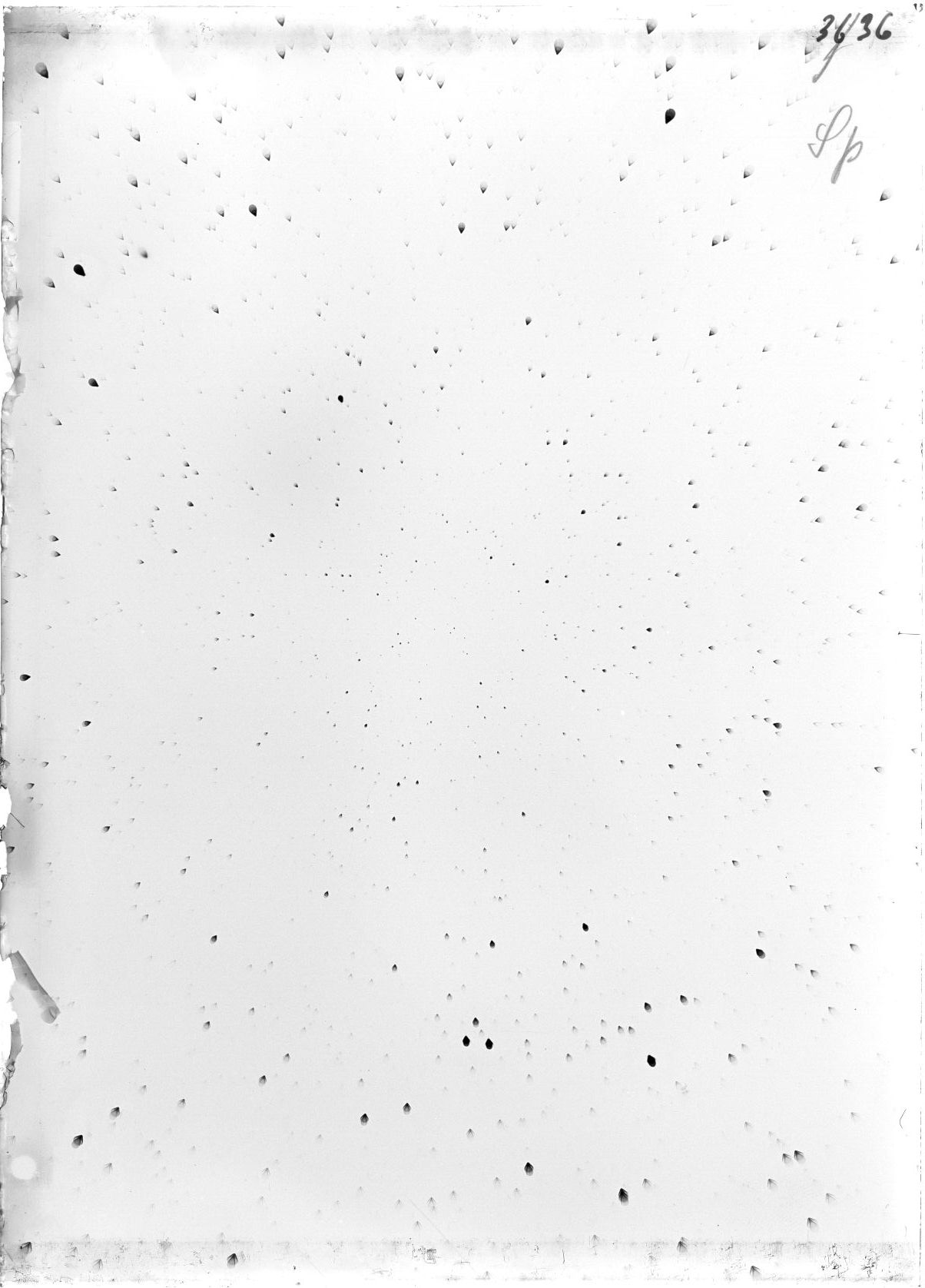 Scan ST03636