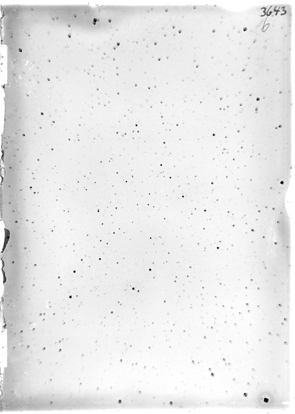 Scan ST03643