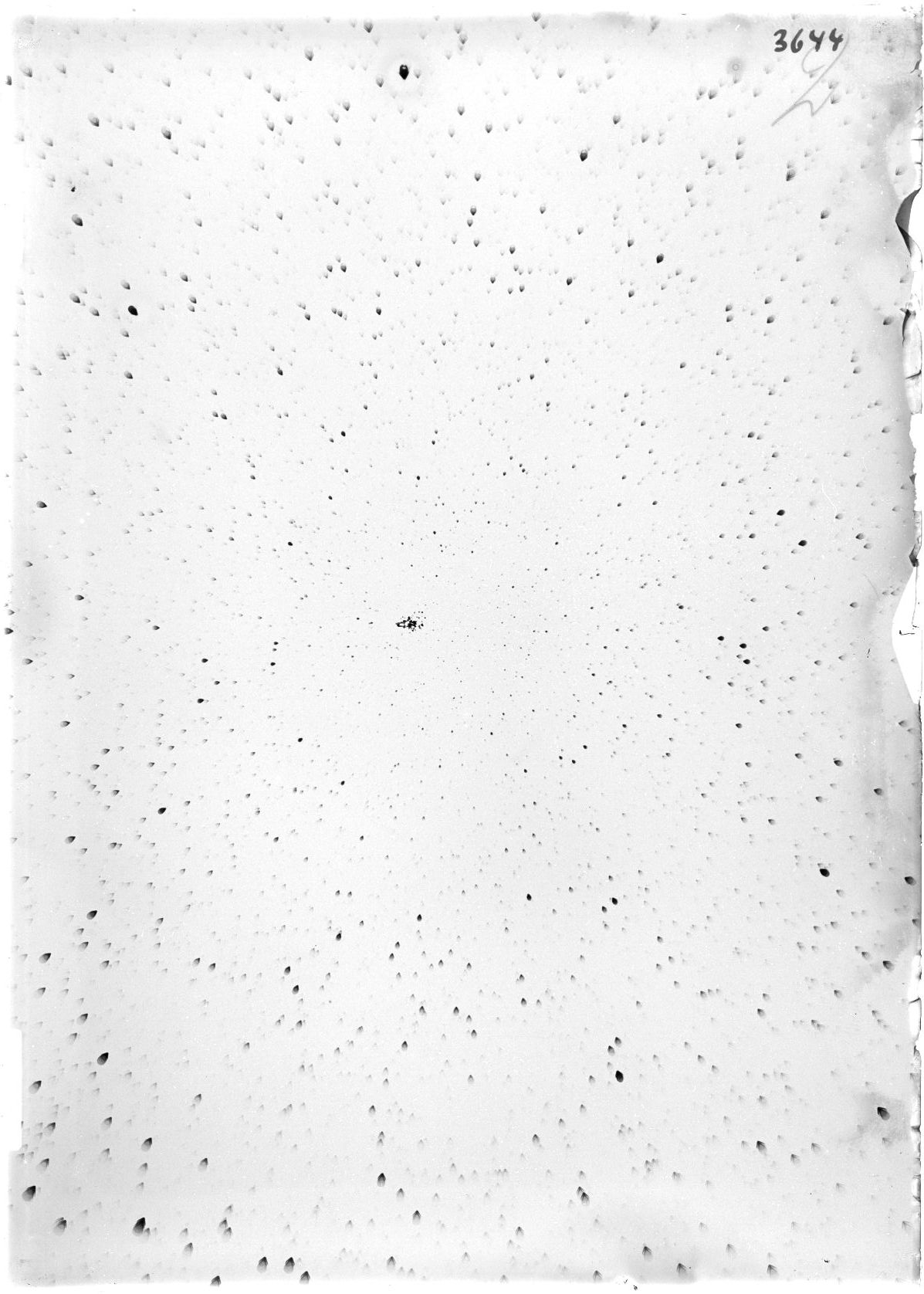 Scan ST03644