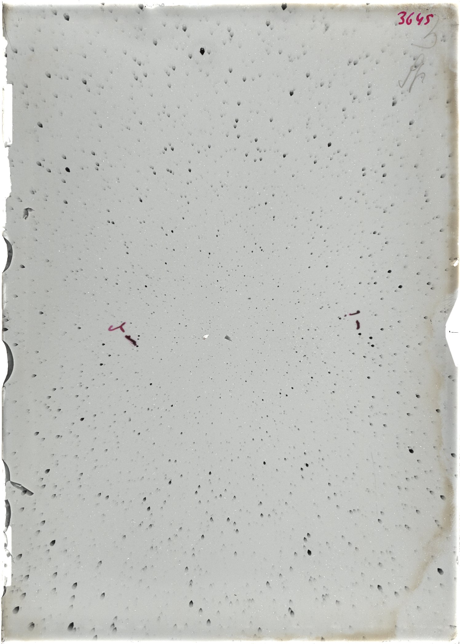 Scan ST03645