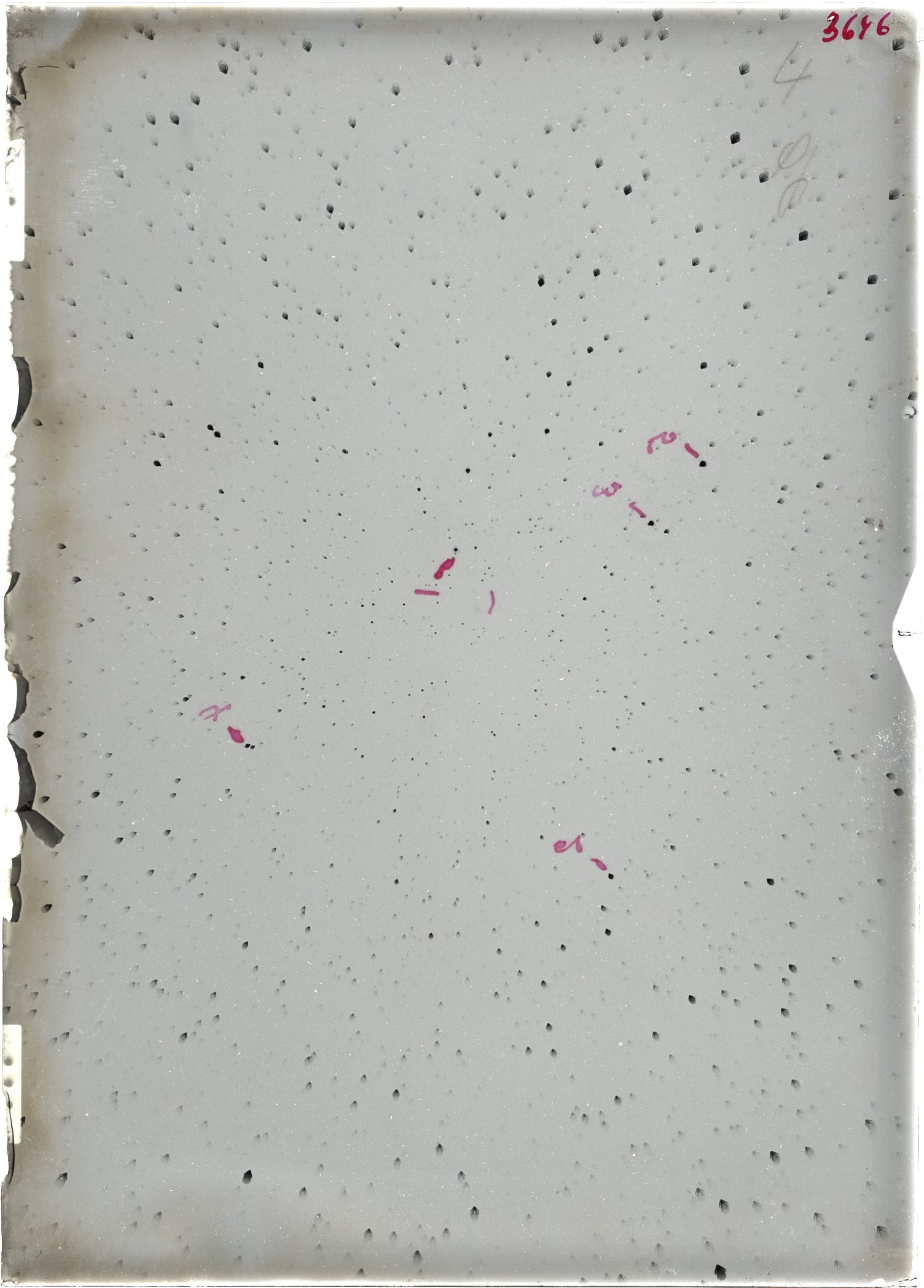 Scan ST03646