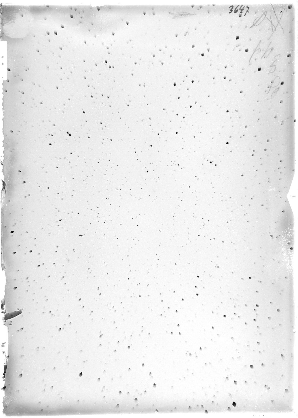 Scan ST03647