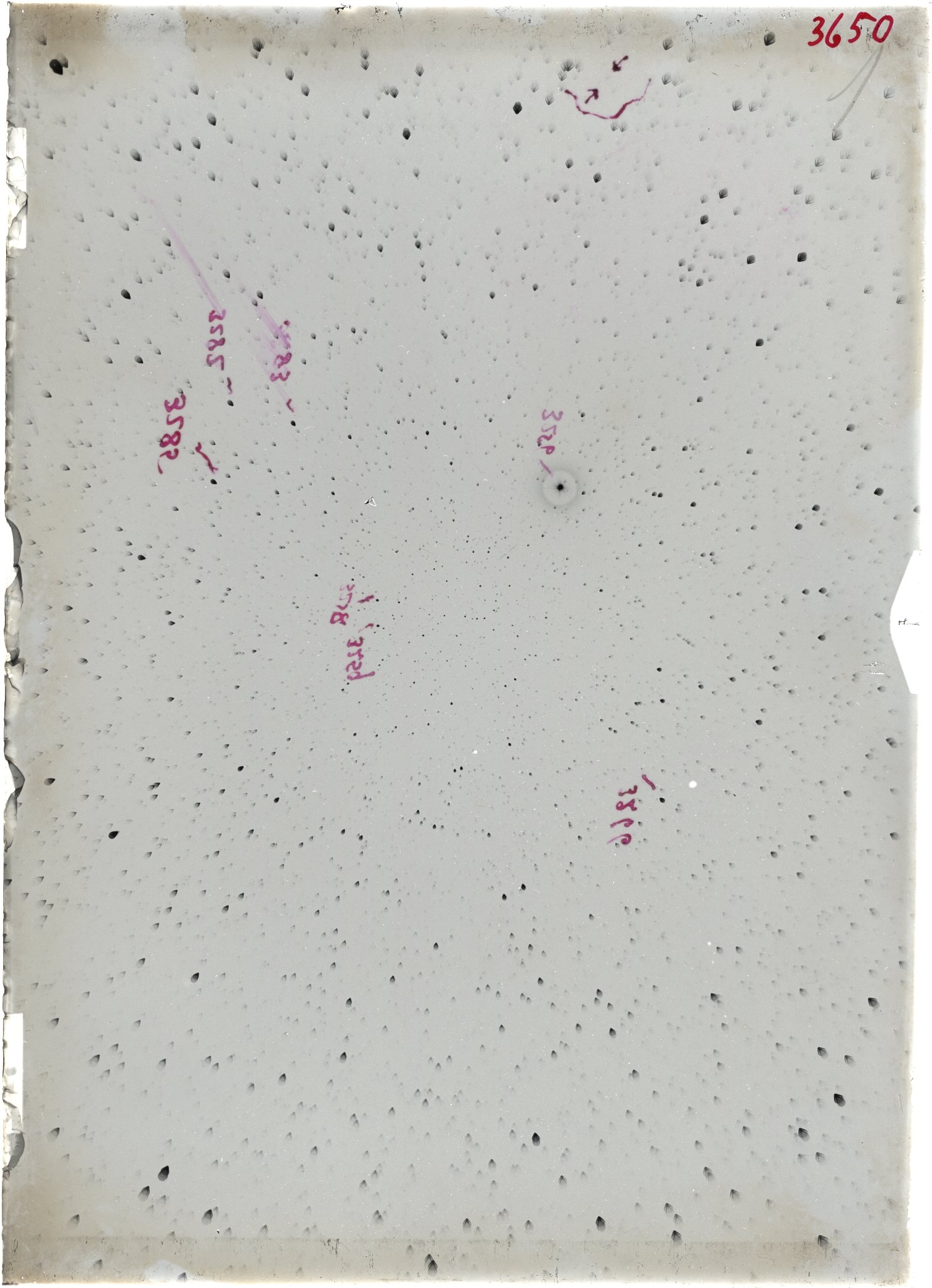 Scan ST03650