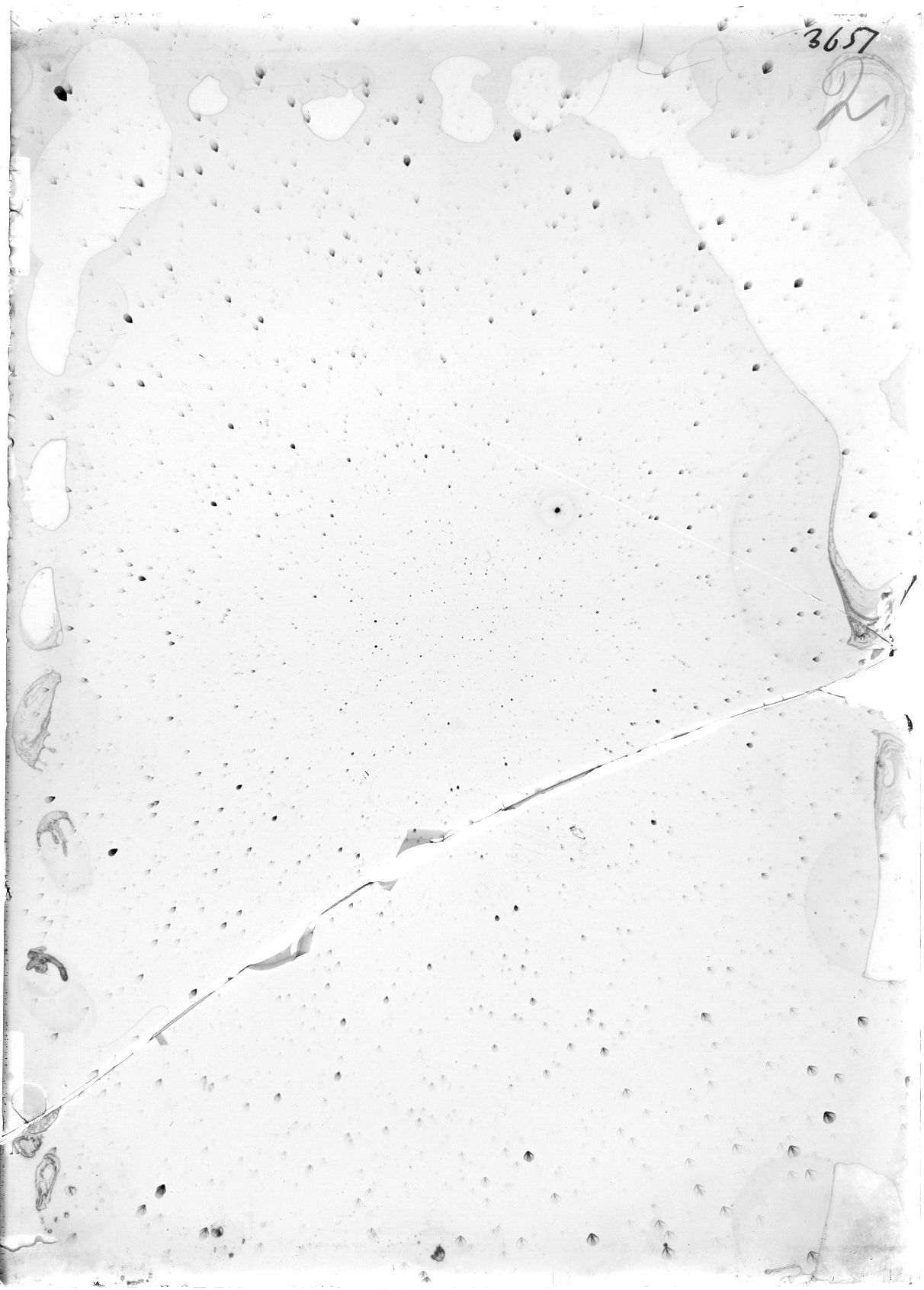 Scan ST03651