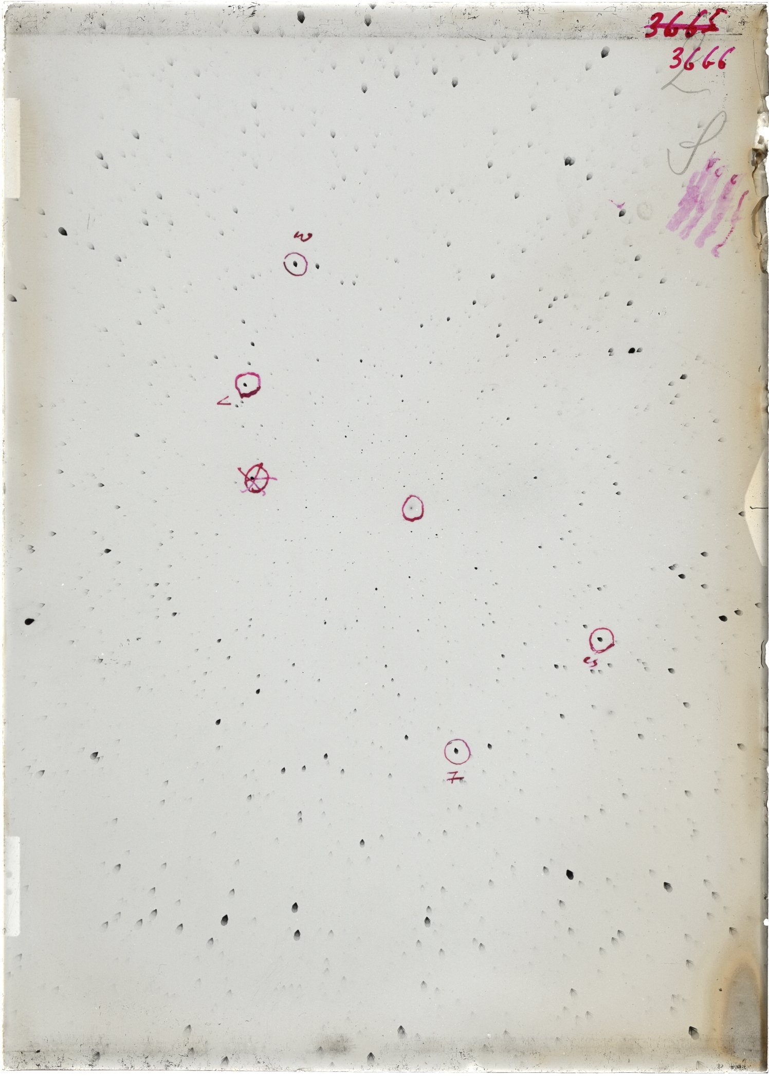 Scan ST03666