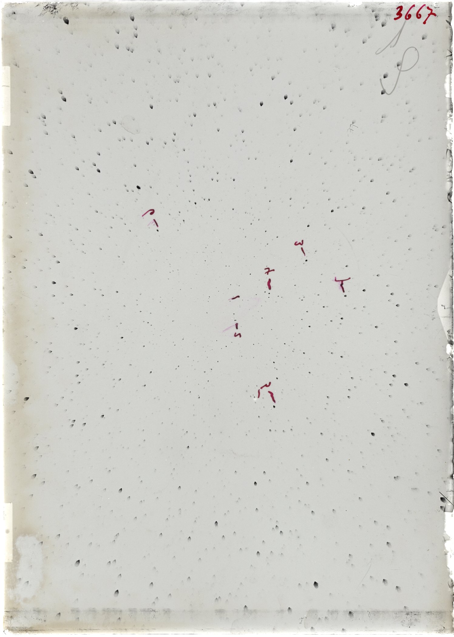 Scan ST03667