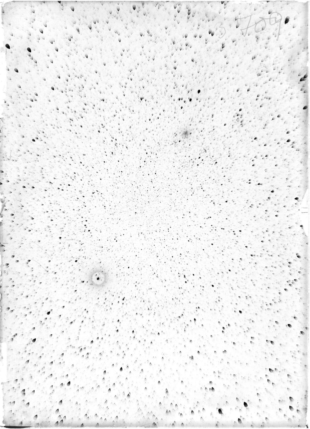 Scan ST03709