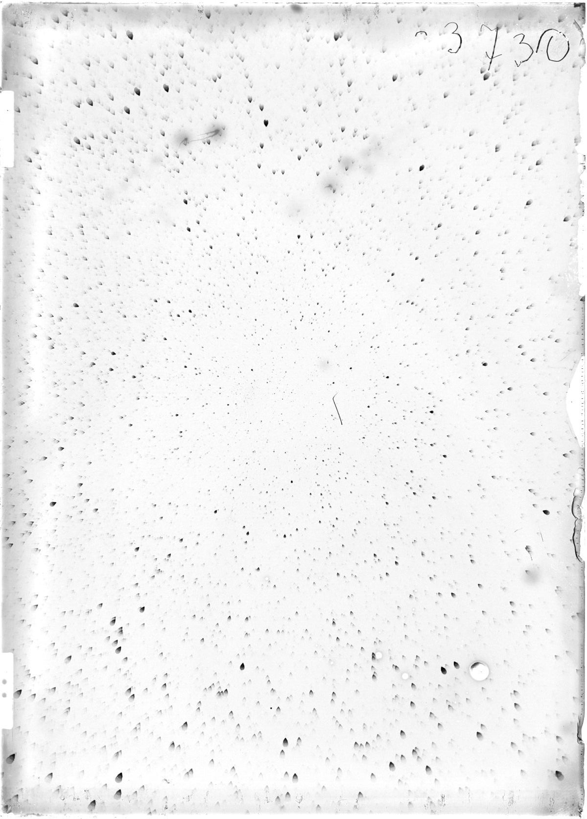 Scan ST03730