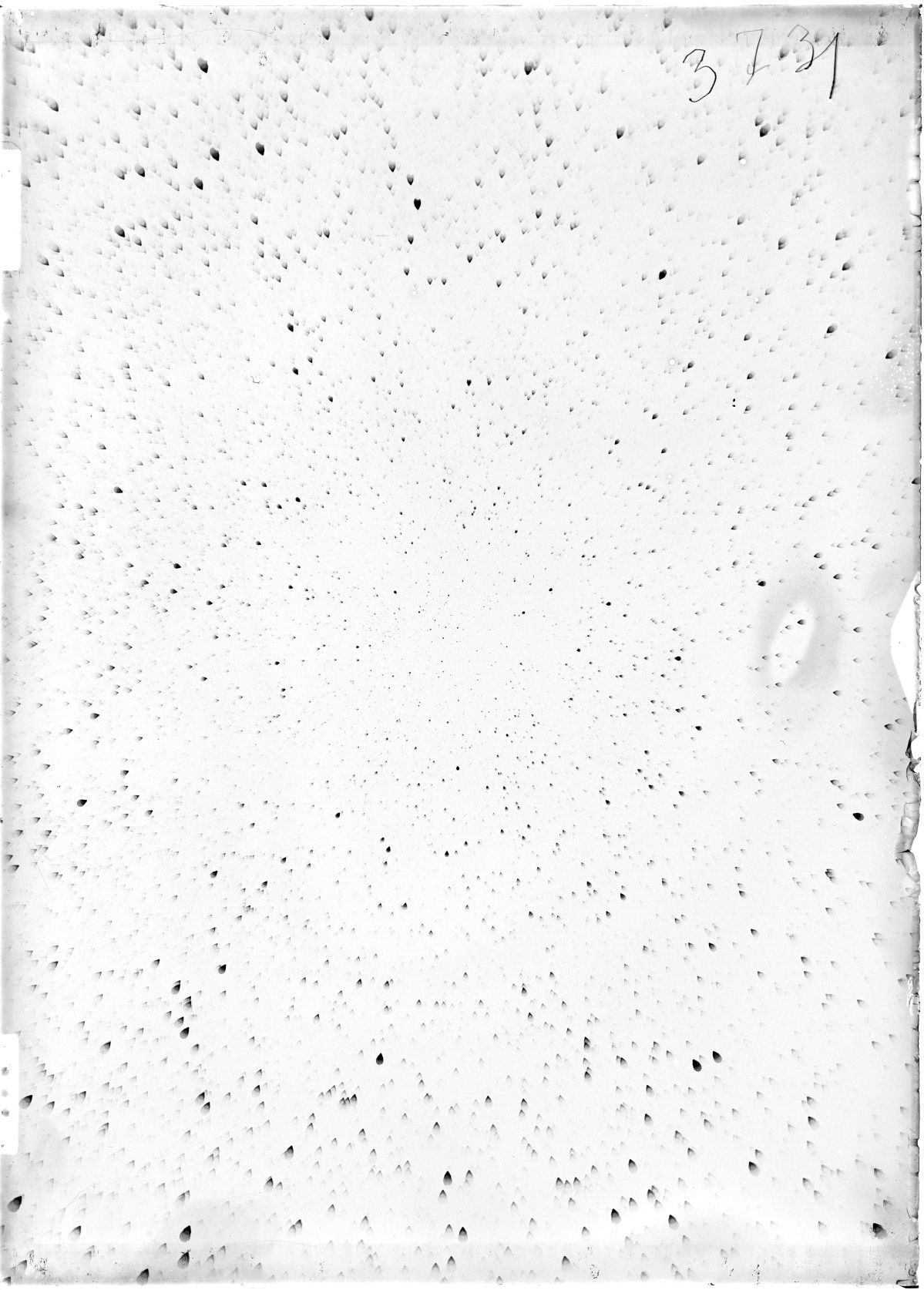 Scan ST03731