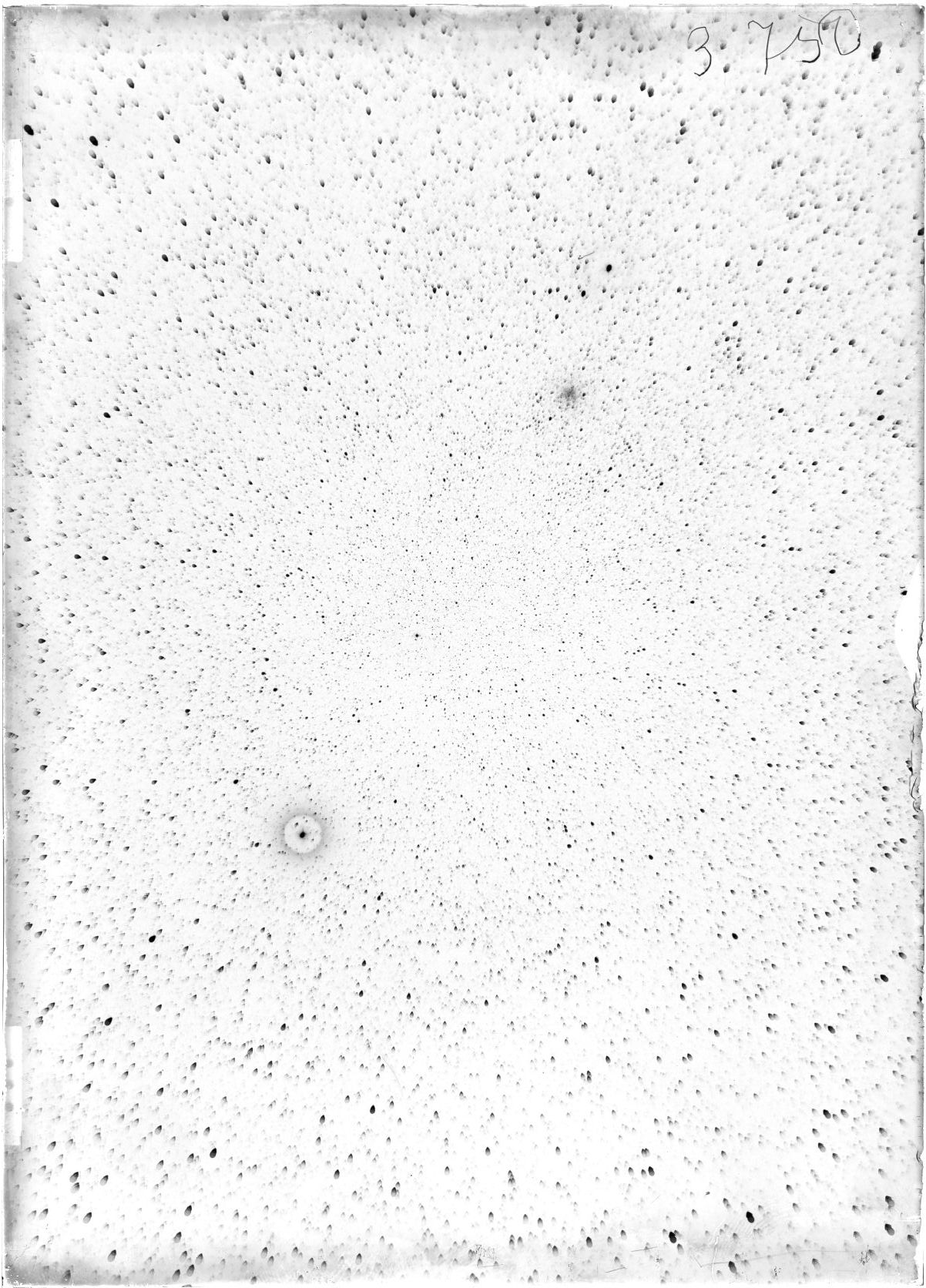 Scan ST03750