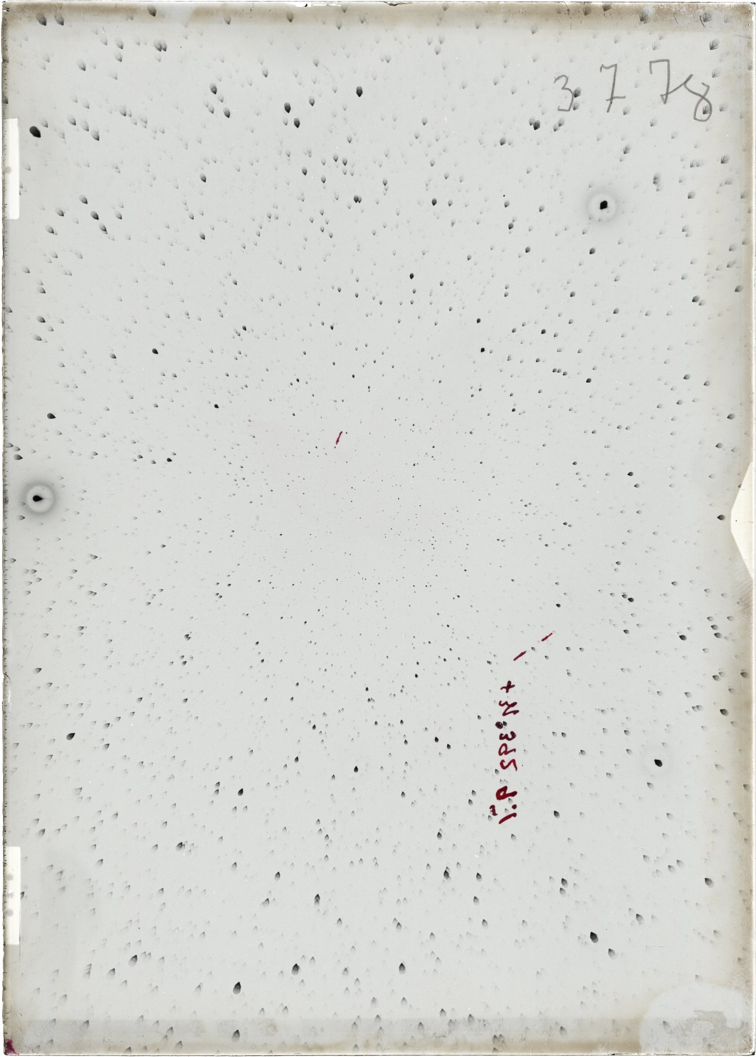 Scan ST03778