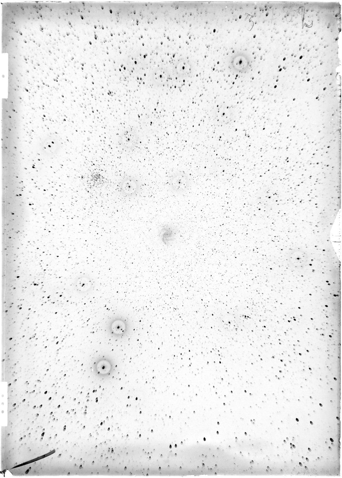 Scan ST03782