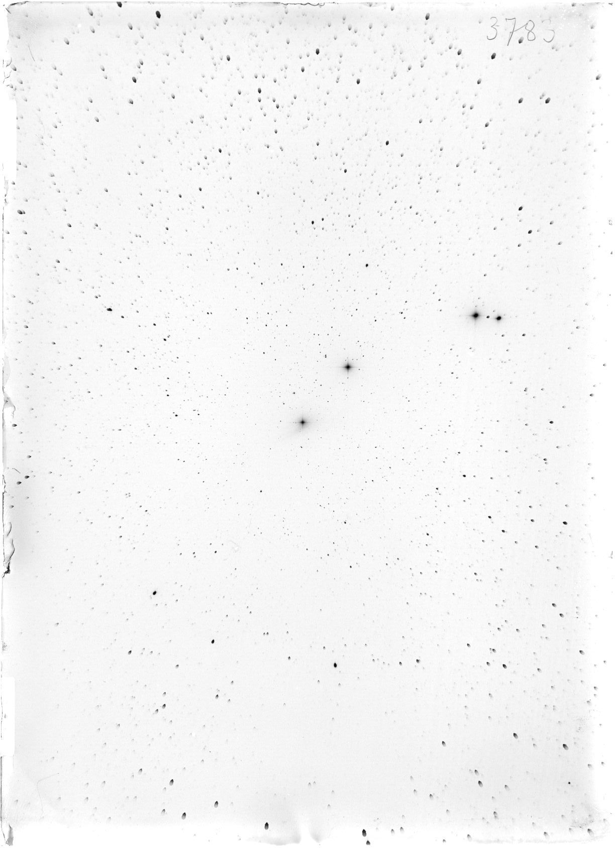 Scan ST03783