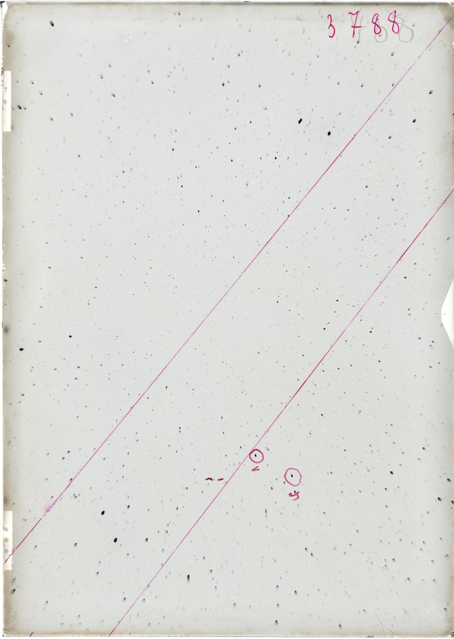 Scan ST03788