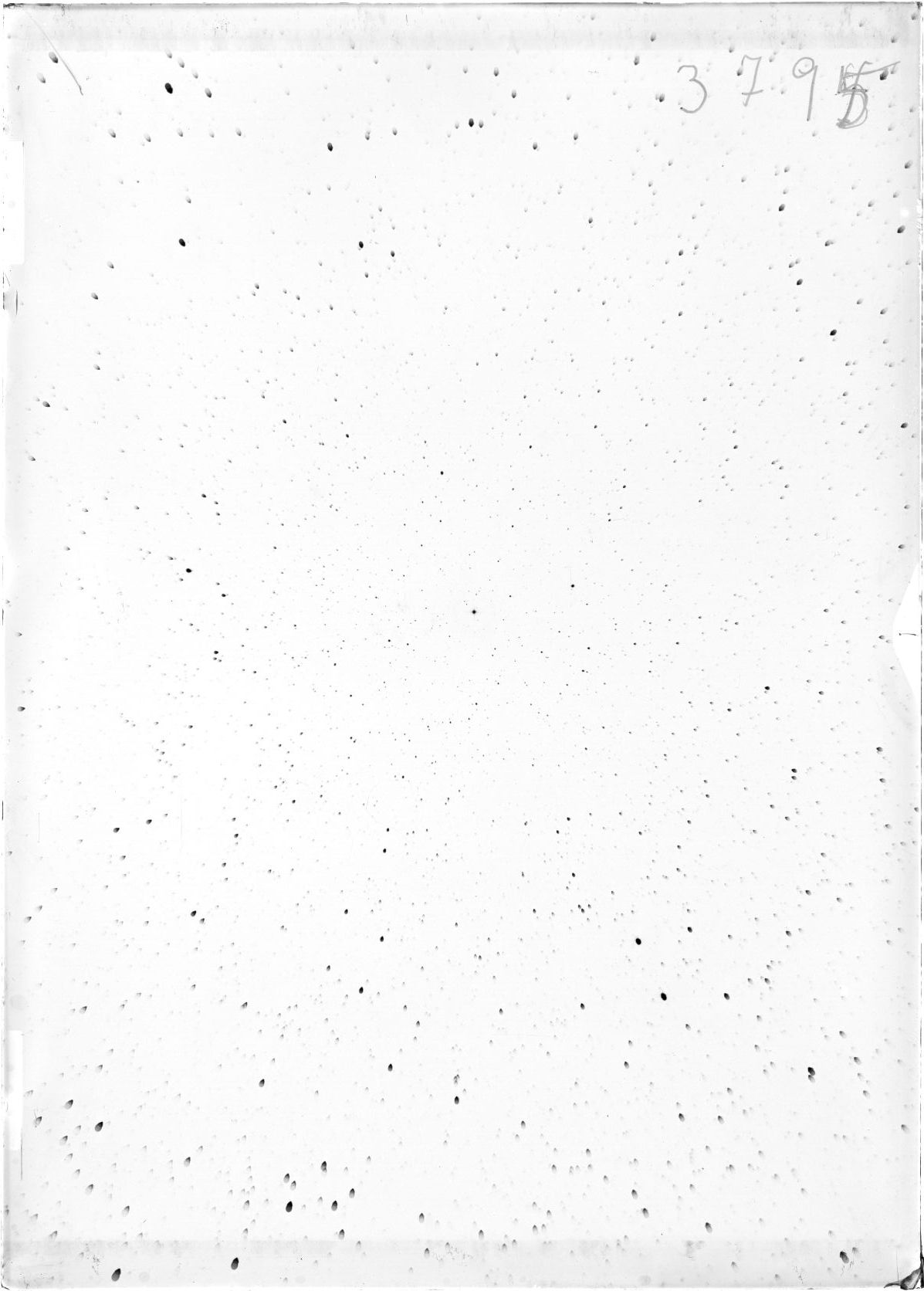Scan ST03795