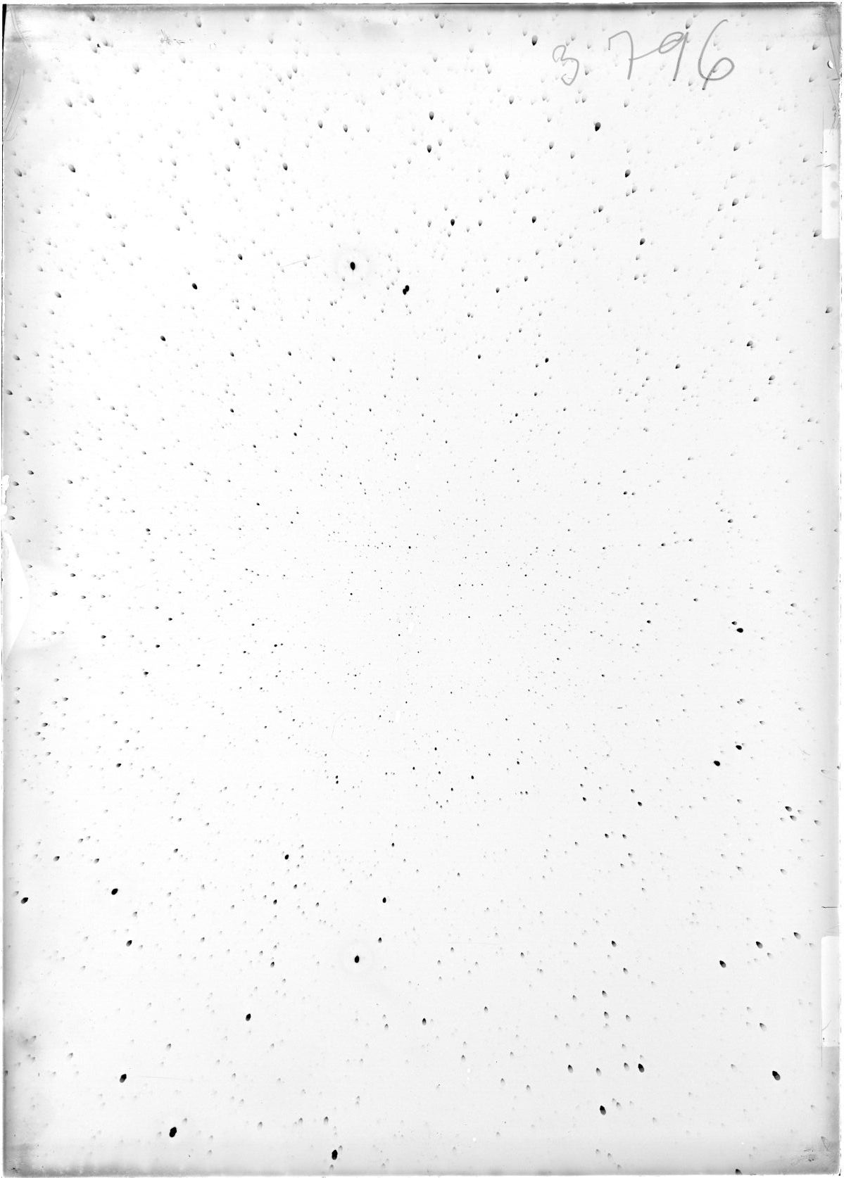 Scan ST03796