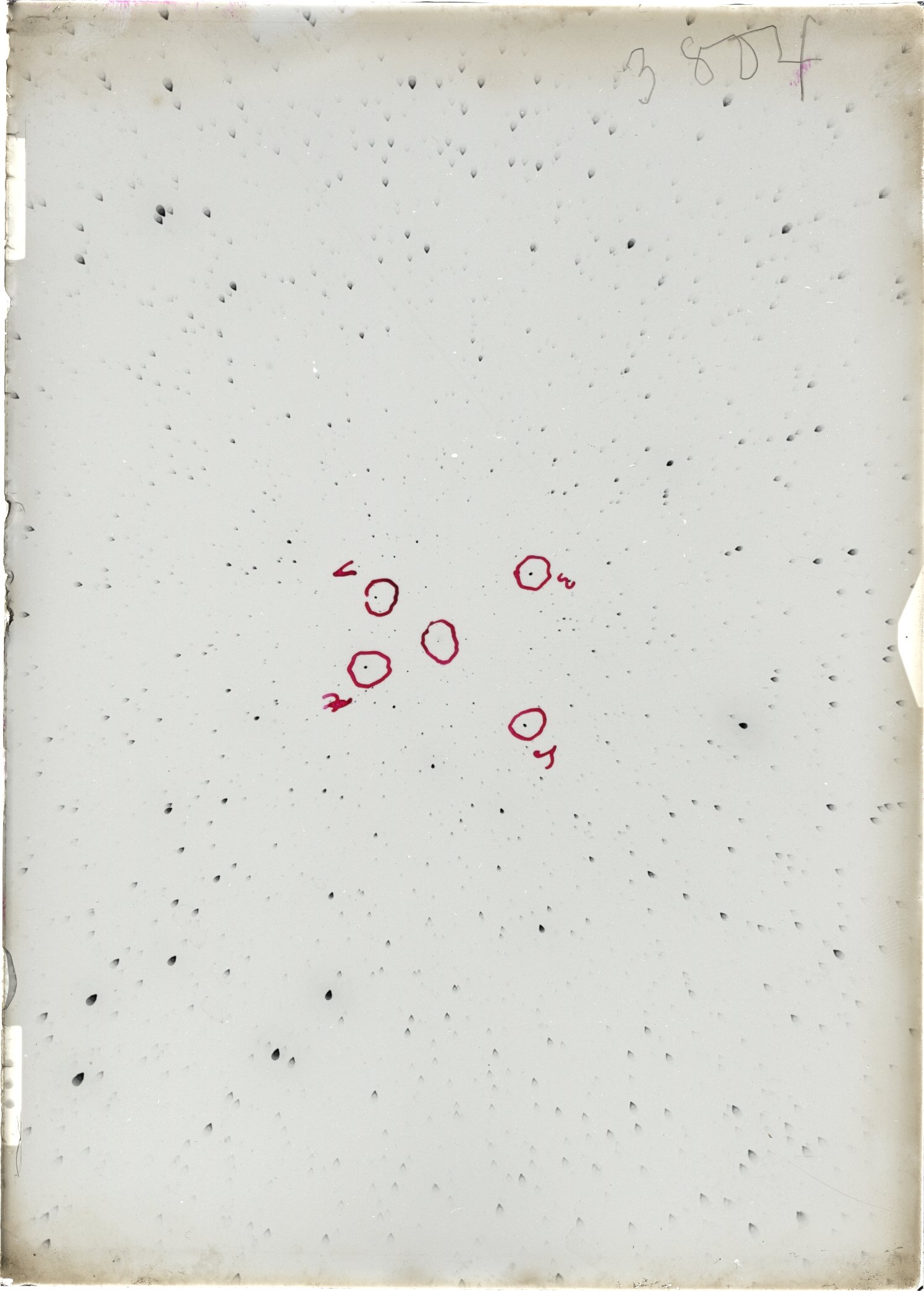 Scan ST03804