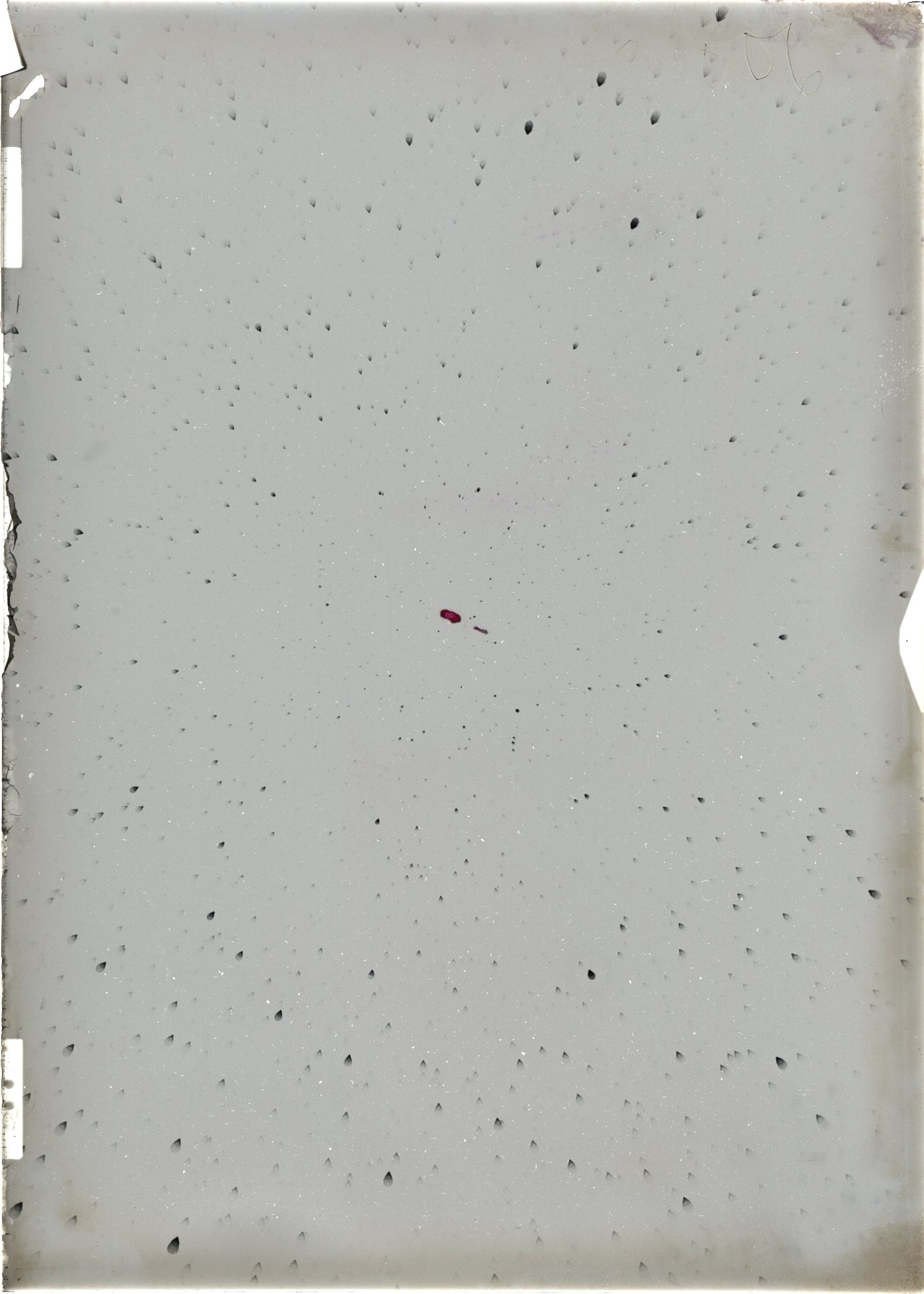 Scan ST03806