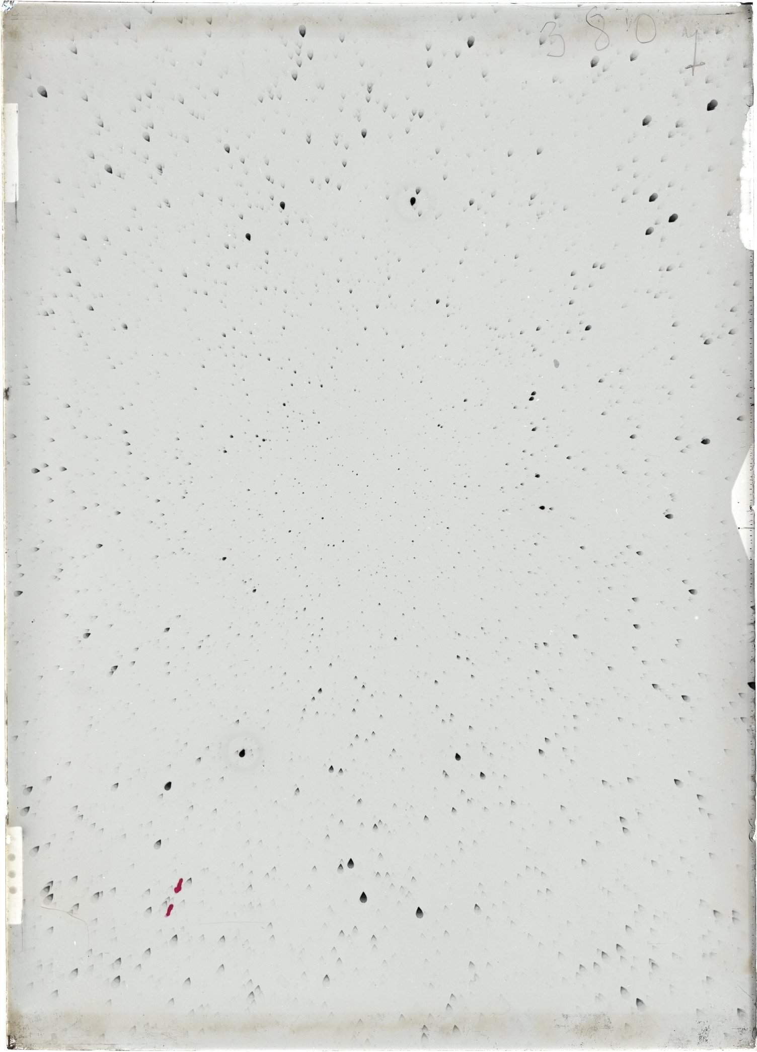 Scan ST03807
