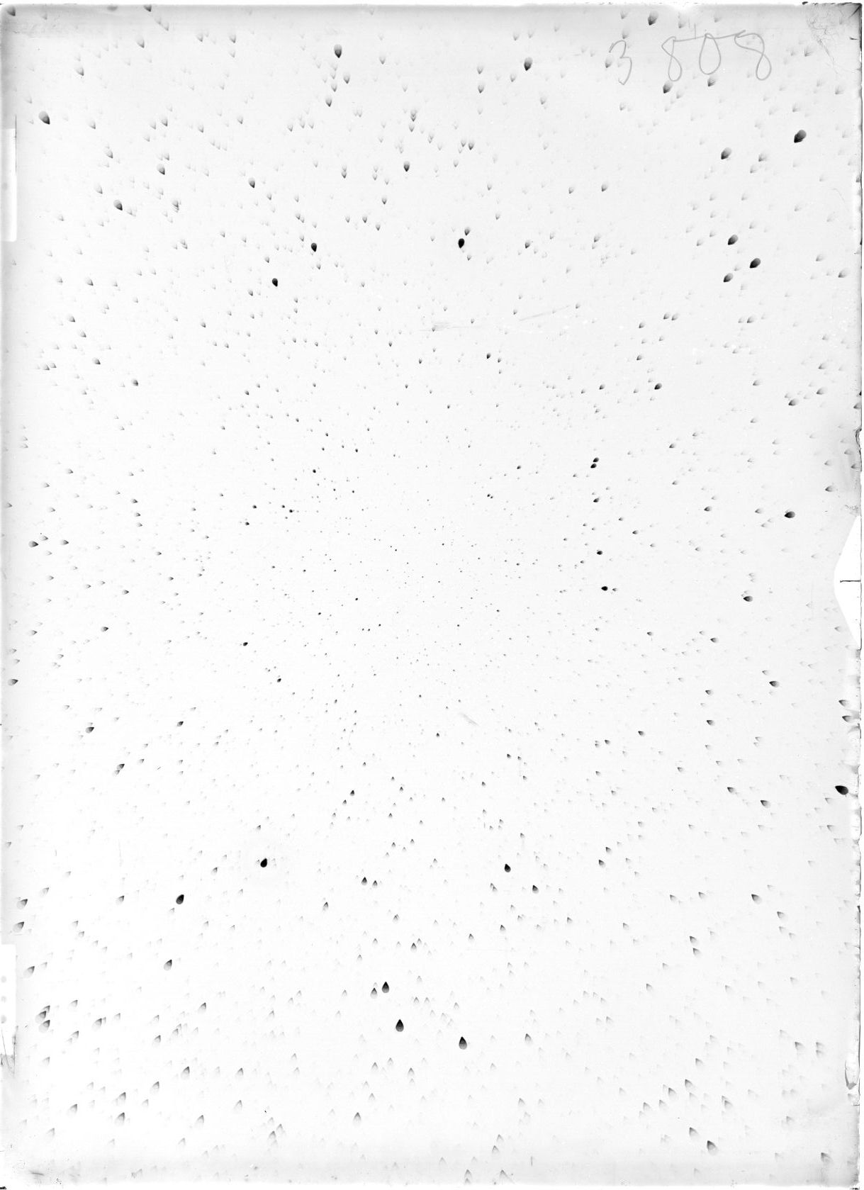 Scan ST03808