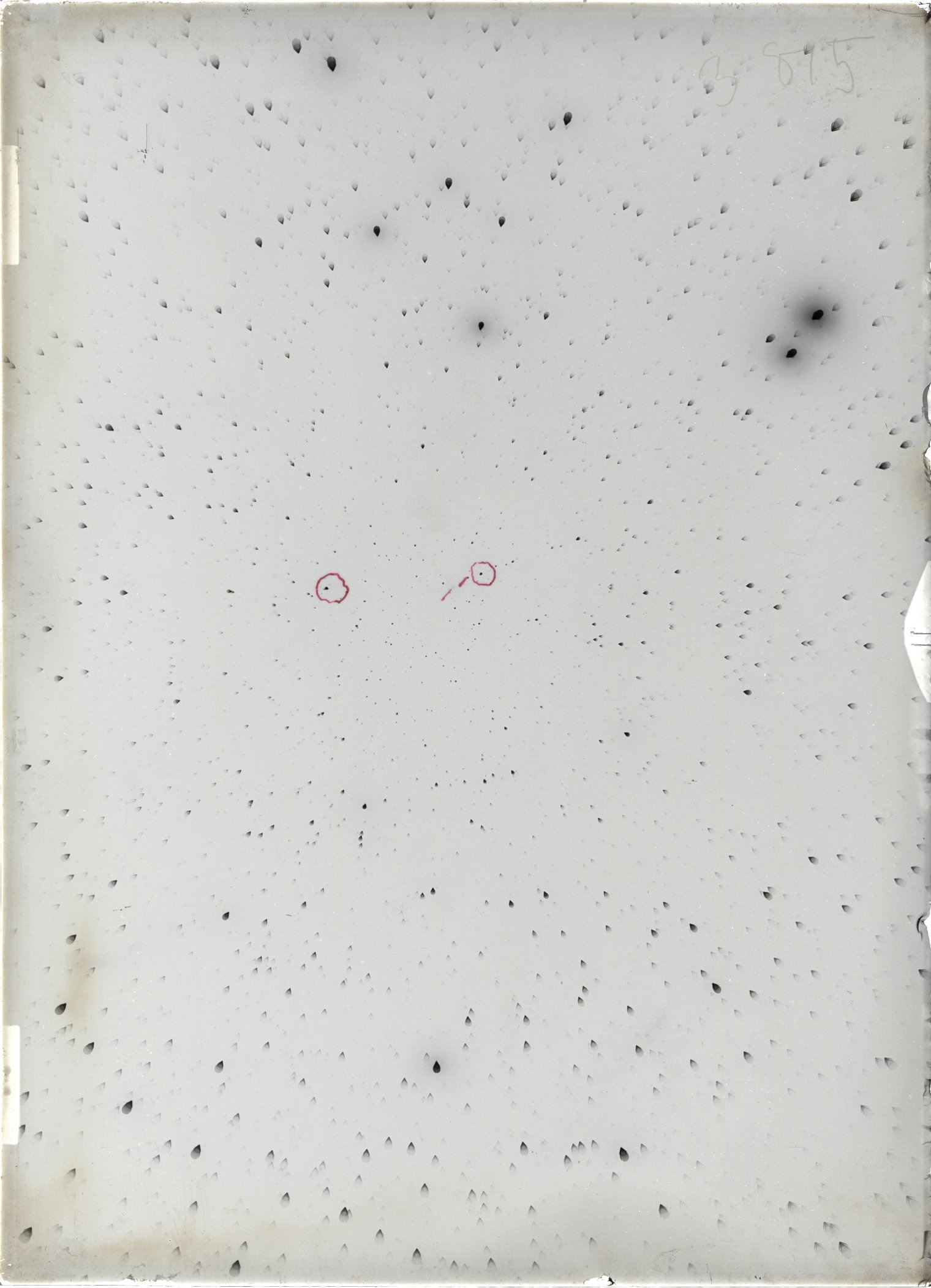 Scan ST03815