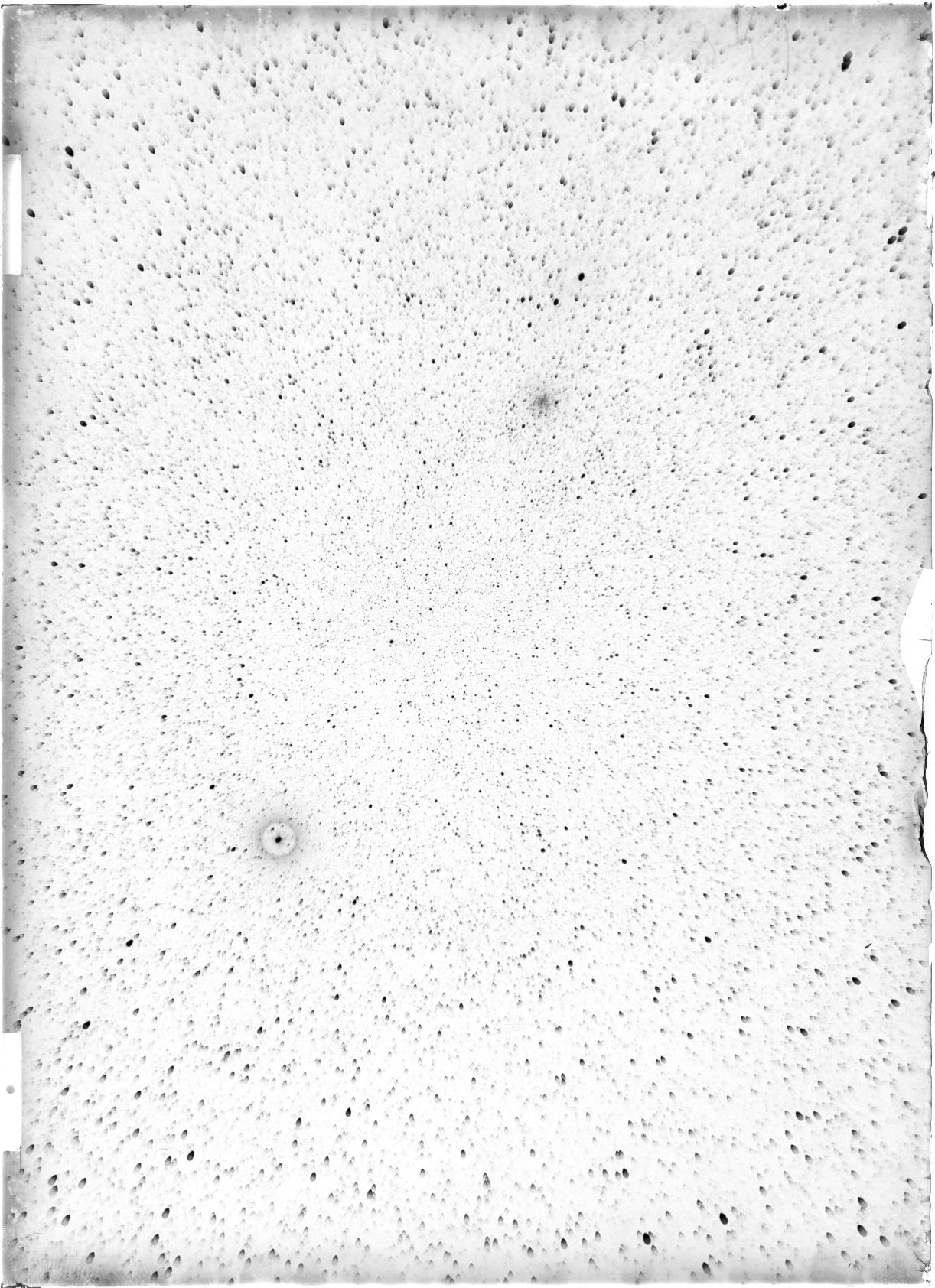 Scan ST03821