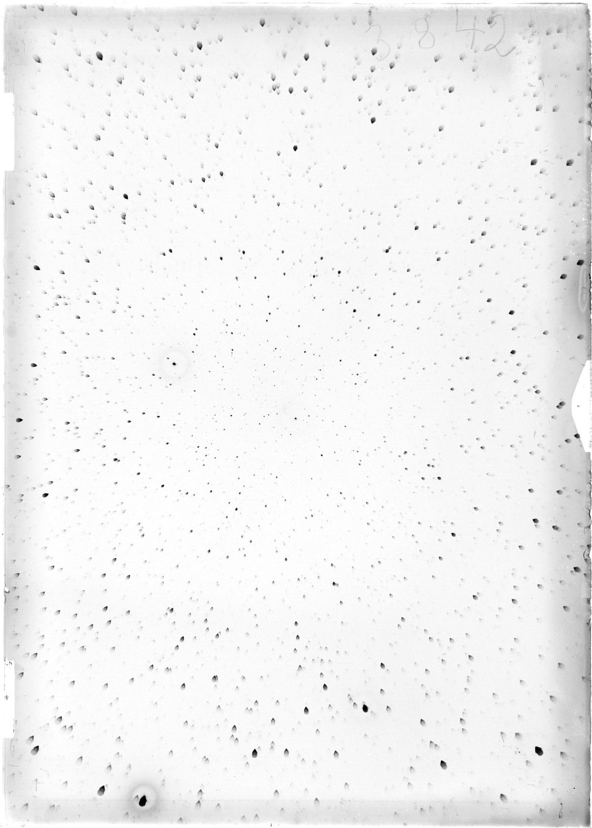 Scan ST03842