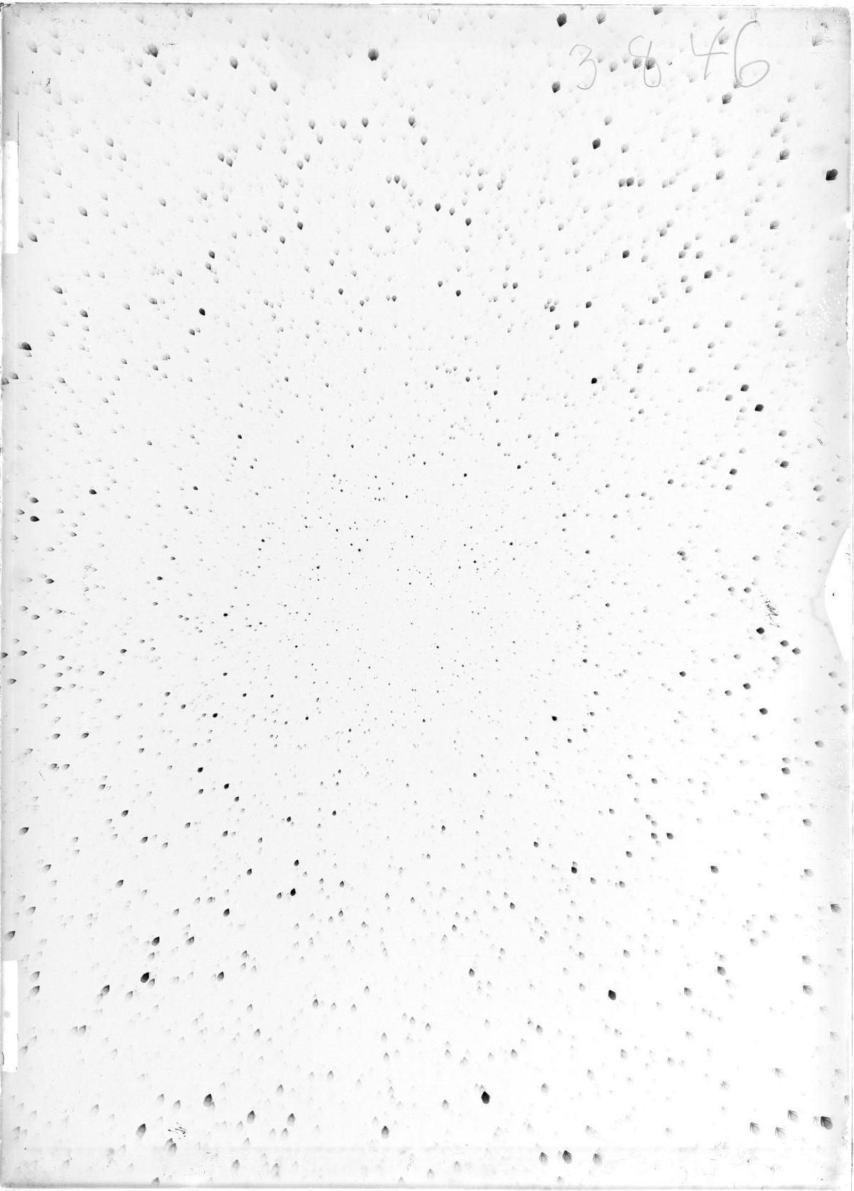 Scan ST03846