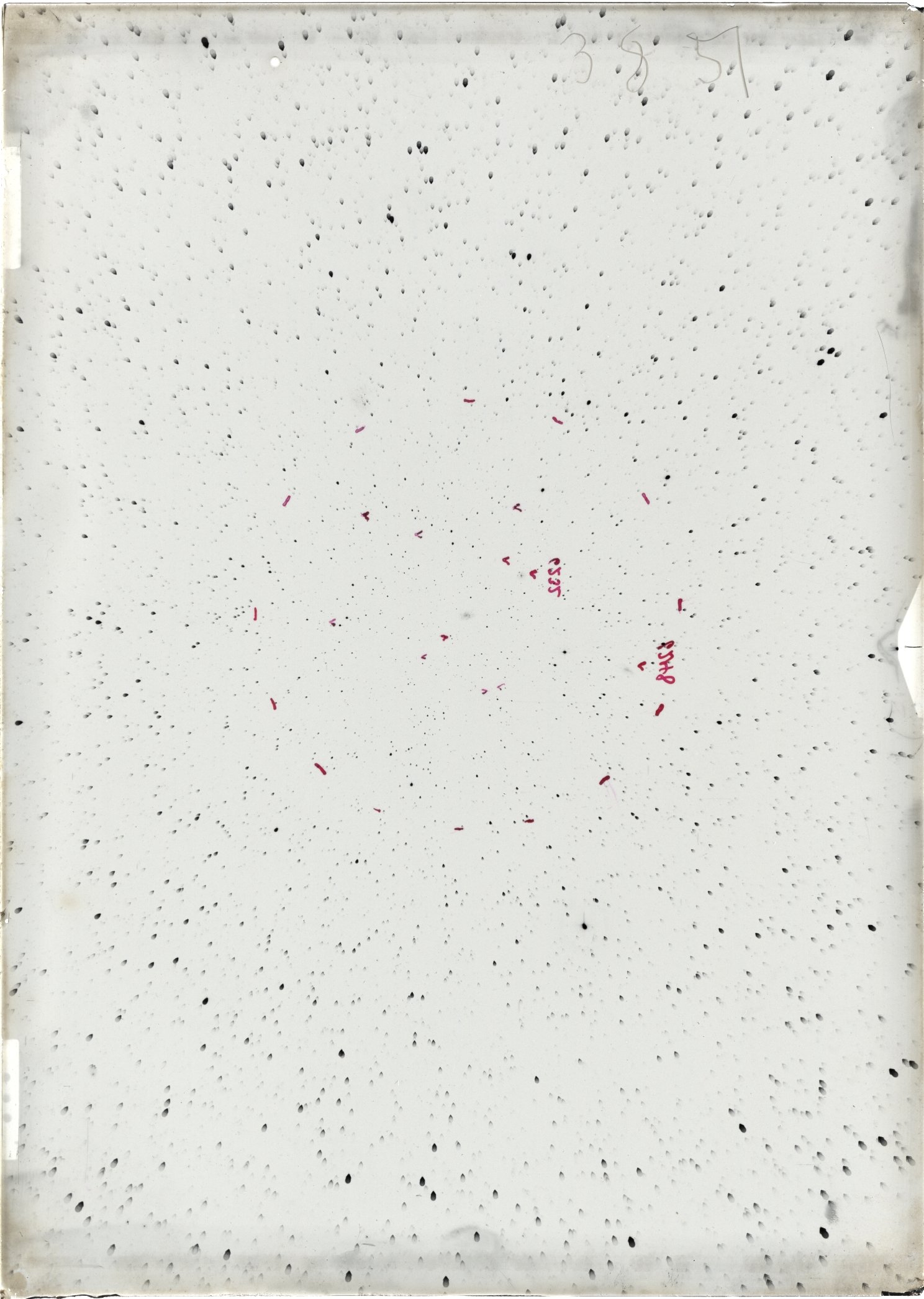 Scan ST03851