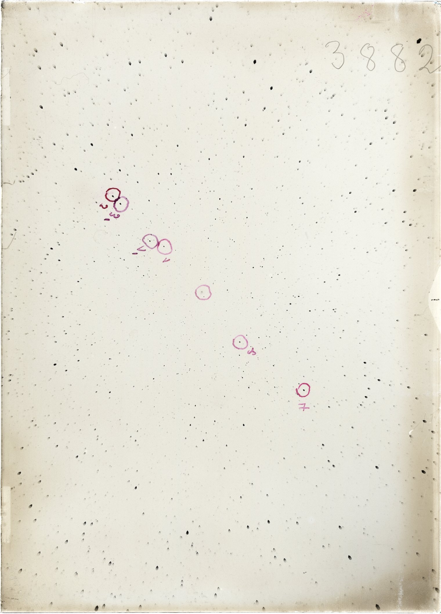 Scan ST03882
