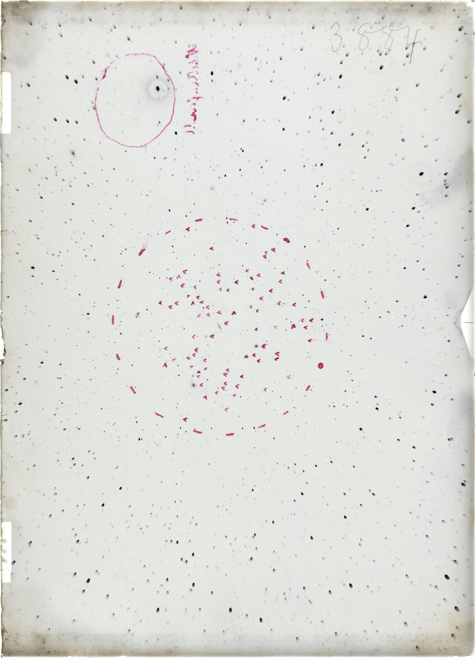 Scan ST03884
