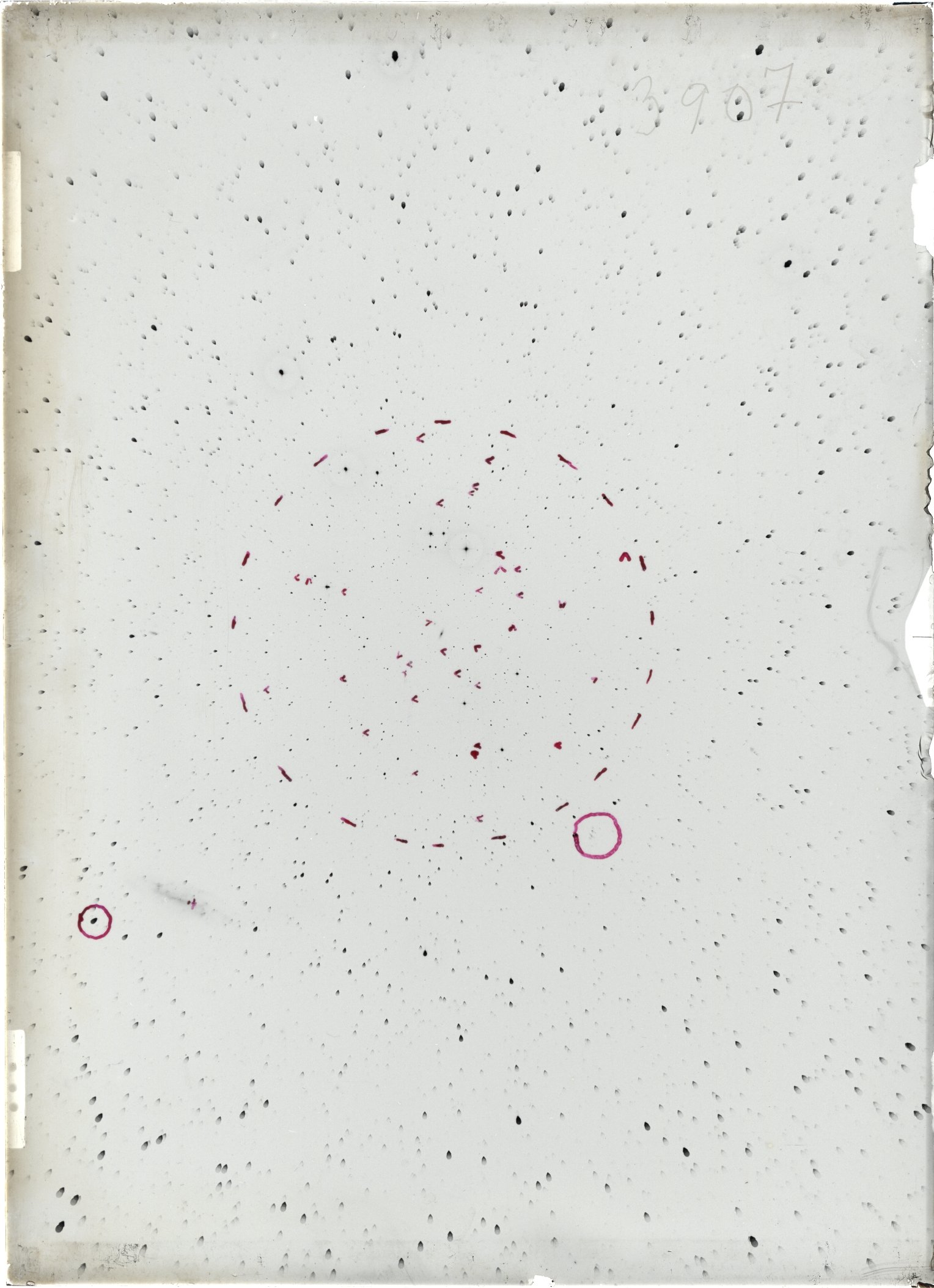 Scan ST03907