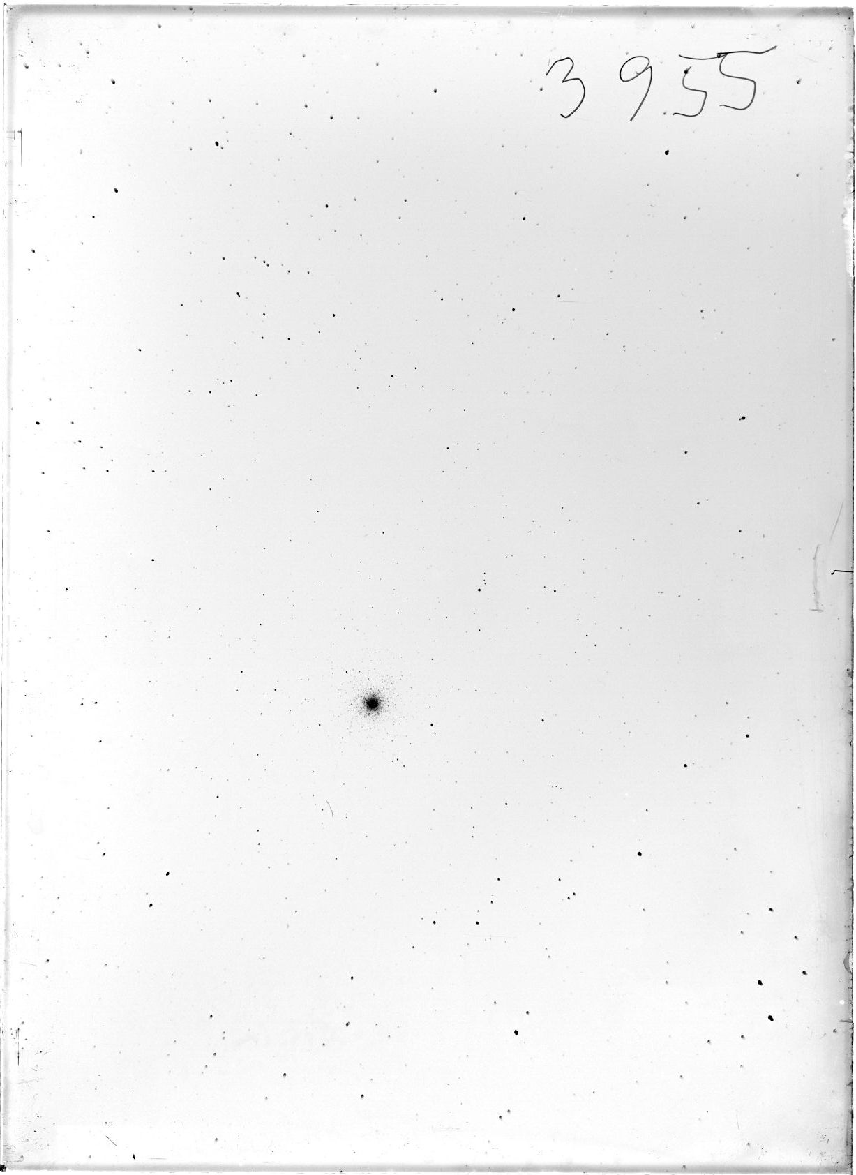 Scan ST03955