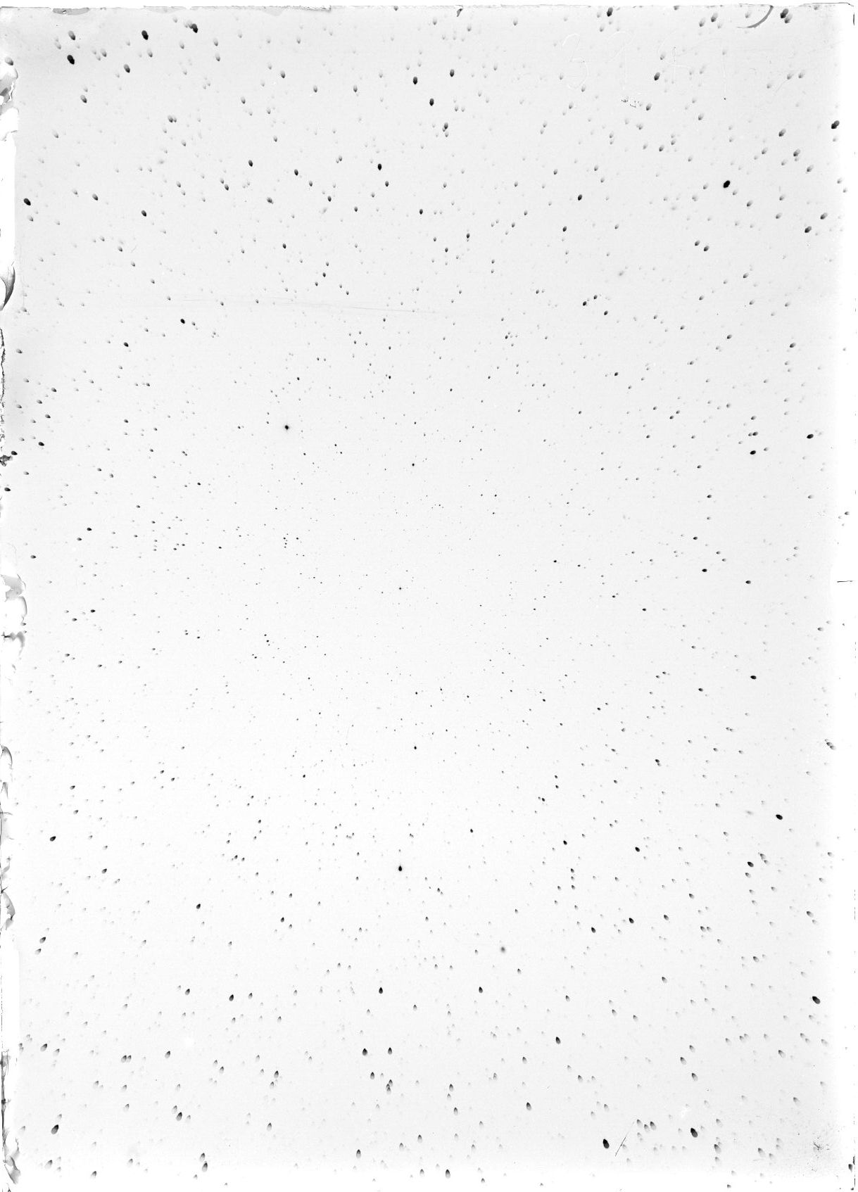 Scan ST03981