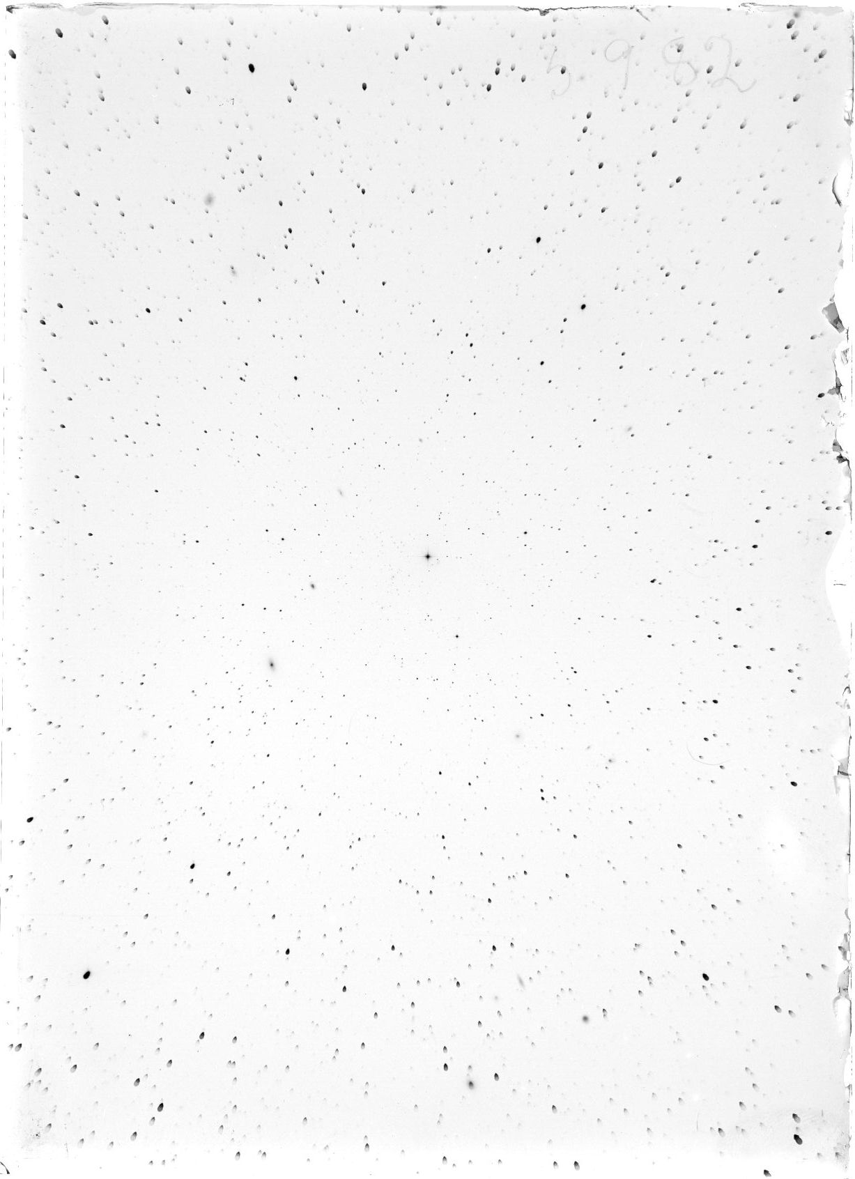 Scan ST03982