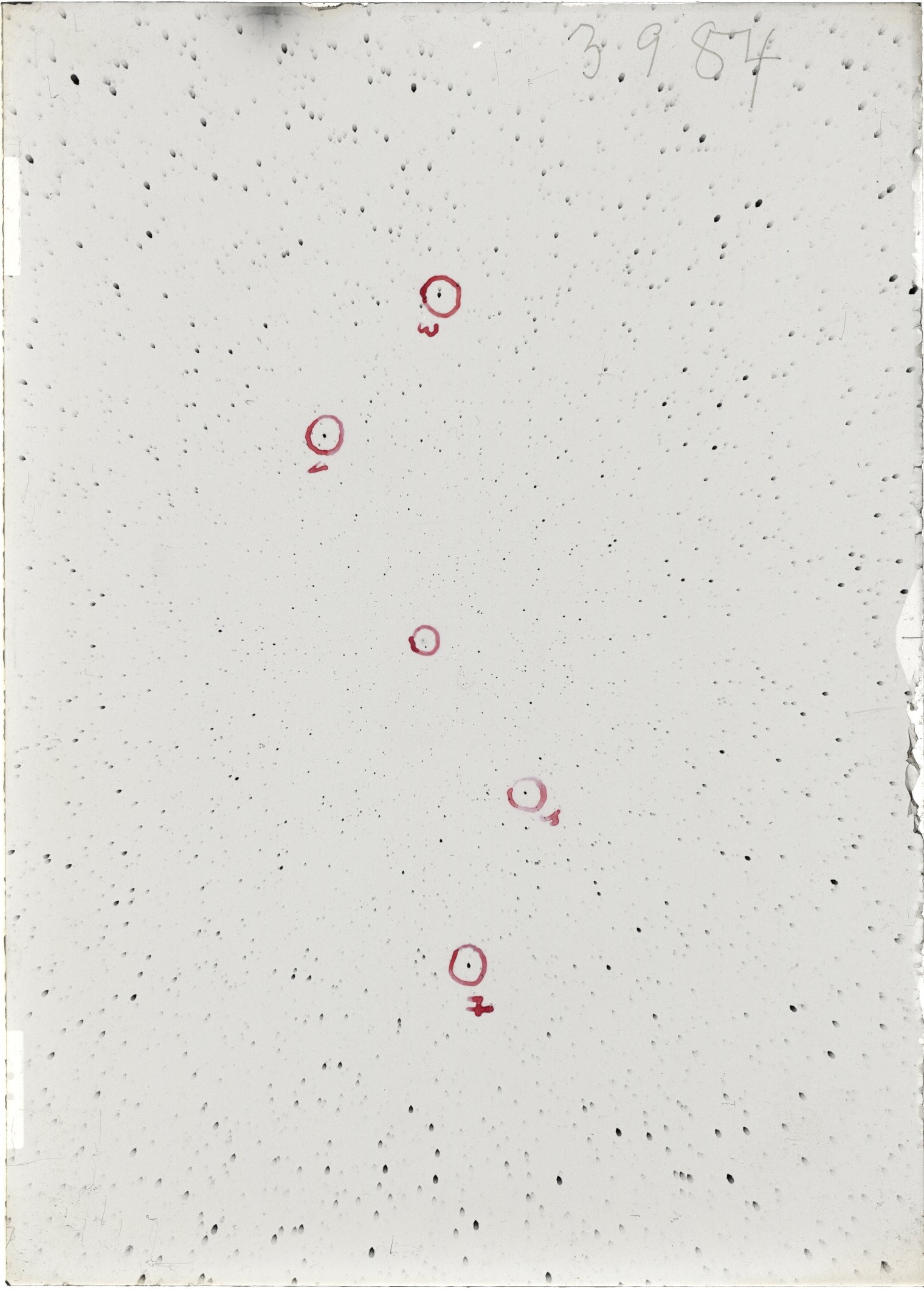 Scan ST03984