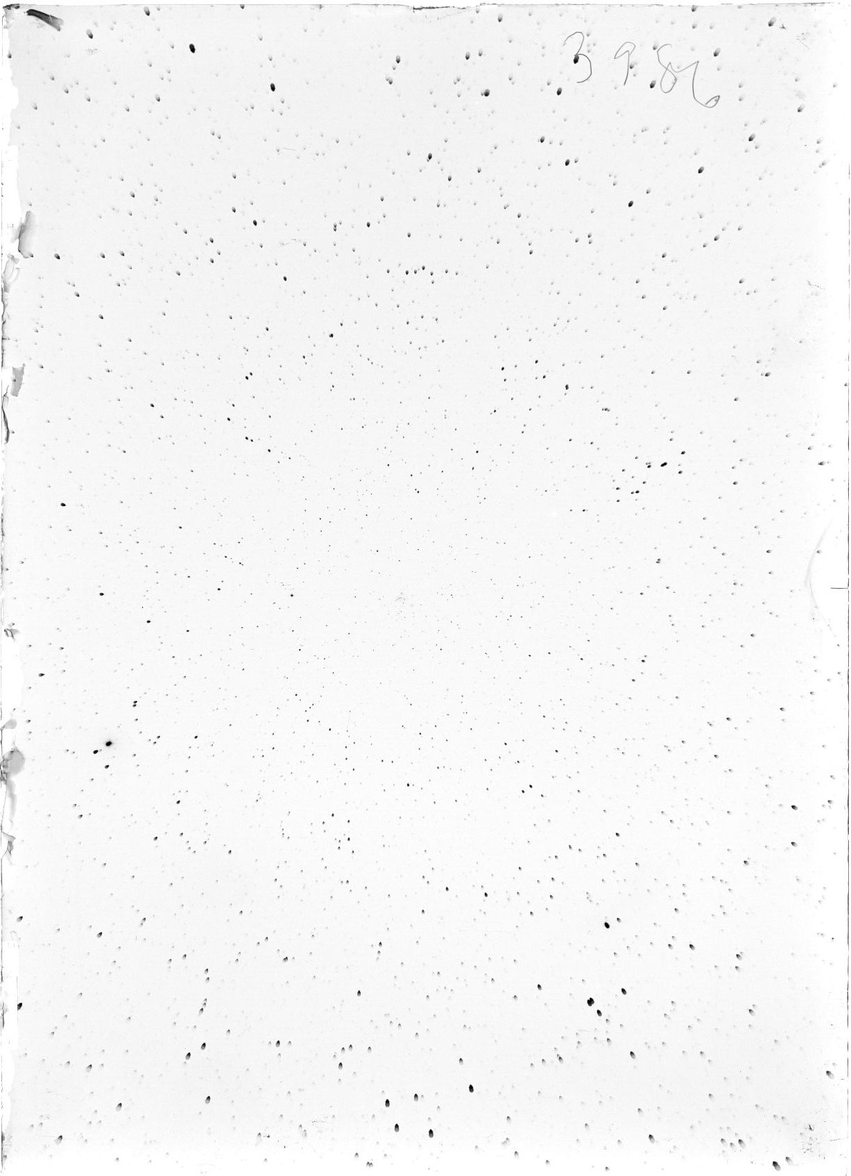 Scan ST03986