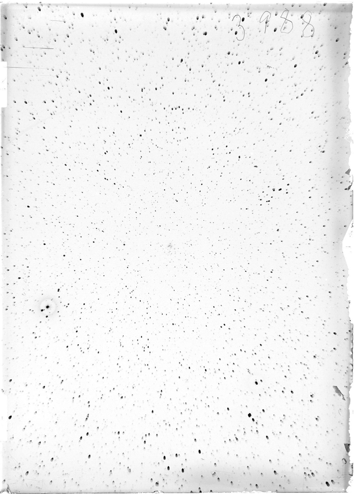 Scan ST03988