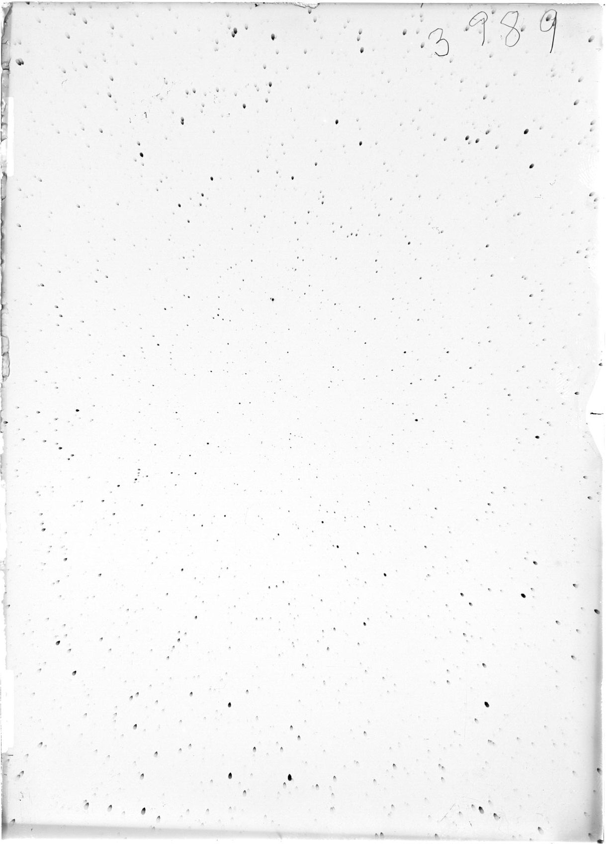 Scan ST03989