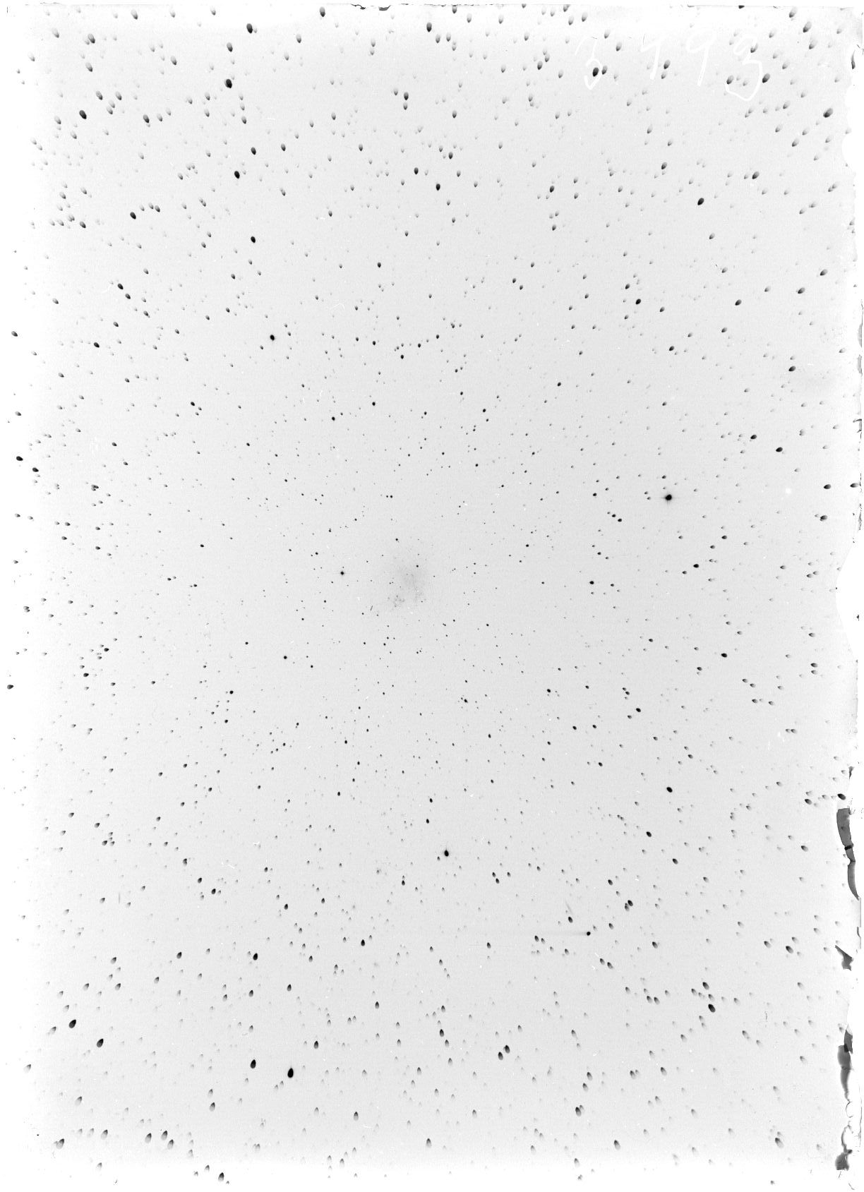 Scan ST03993
