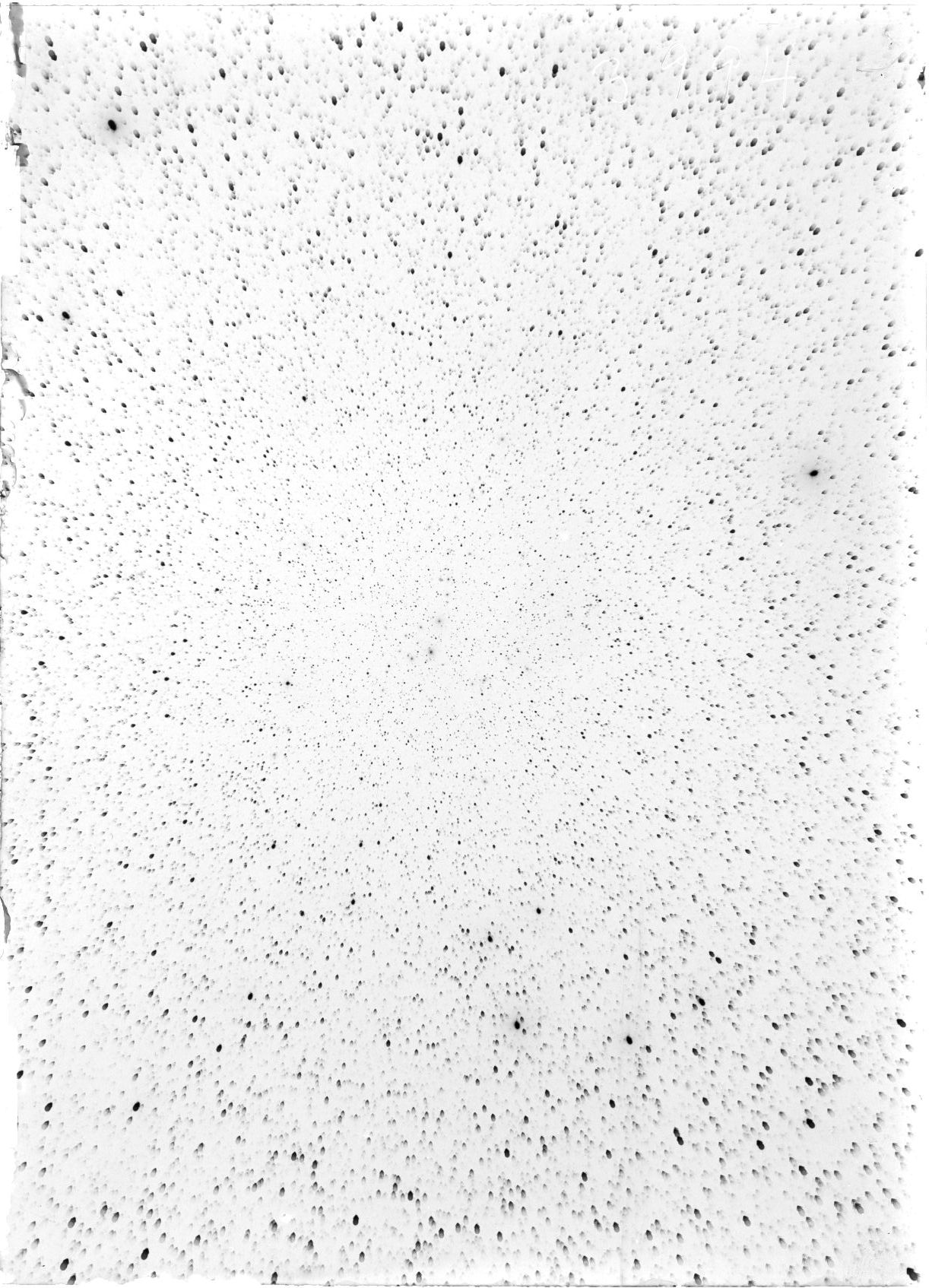 Scan ST03994