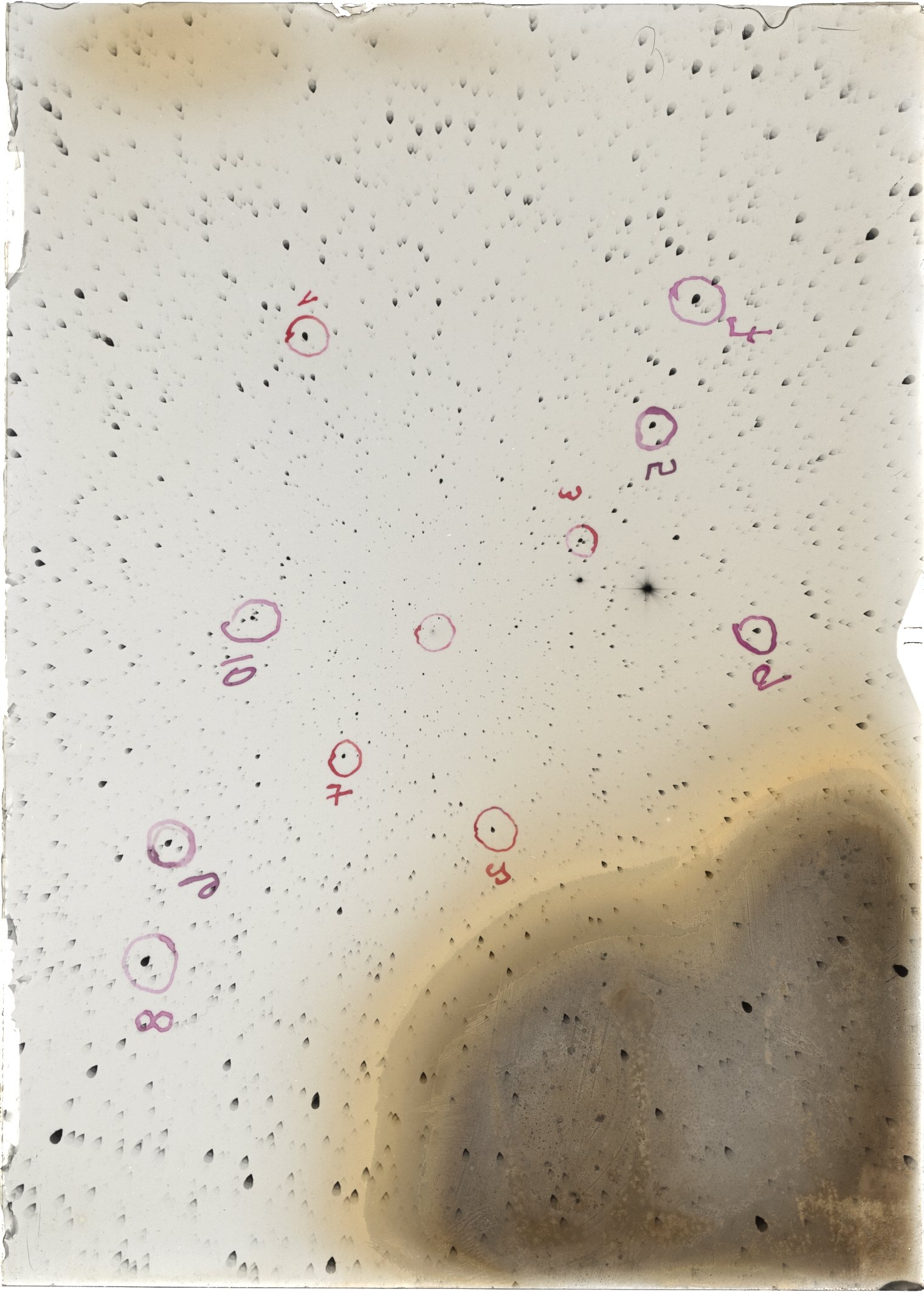 Scan ST03995