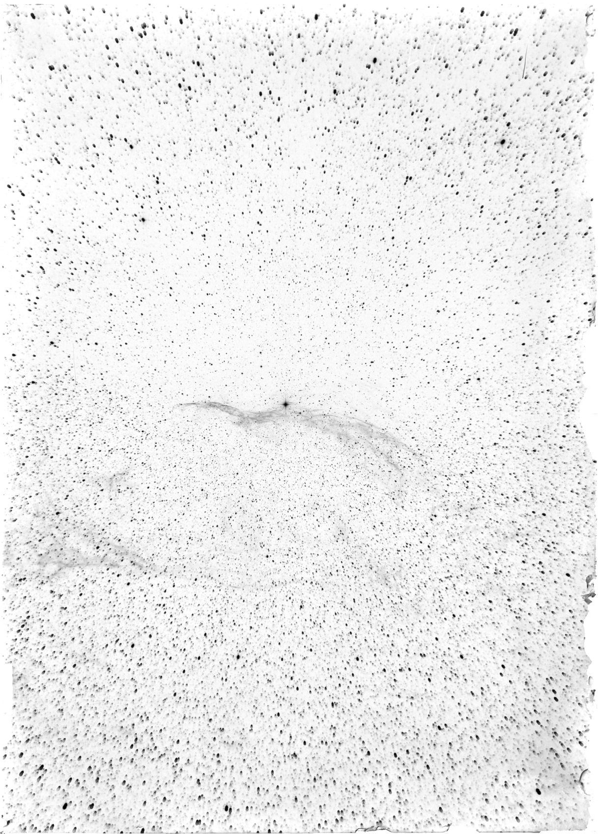 Scan ST04001