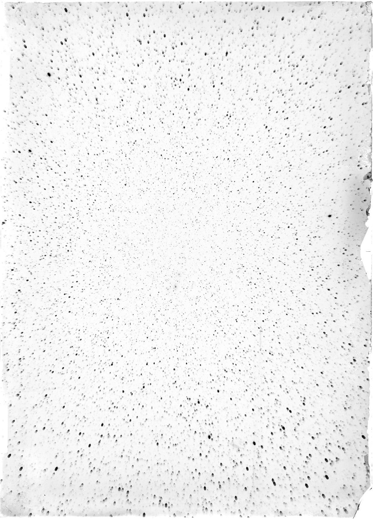 Scan ST04003