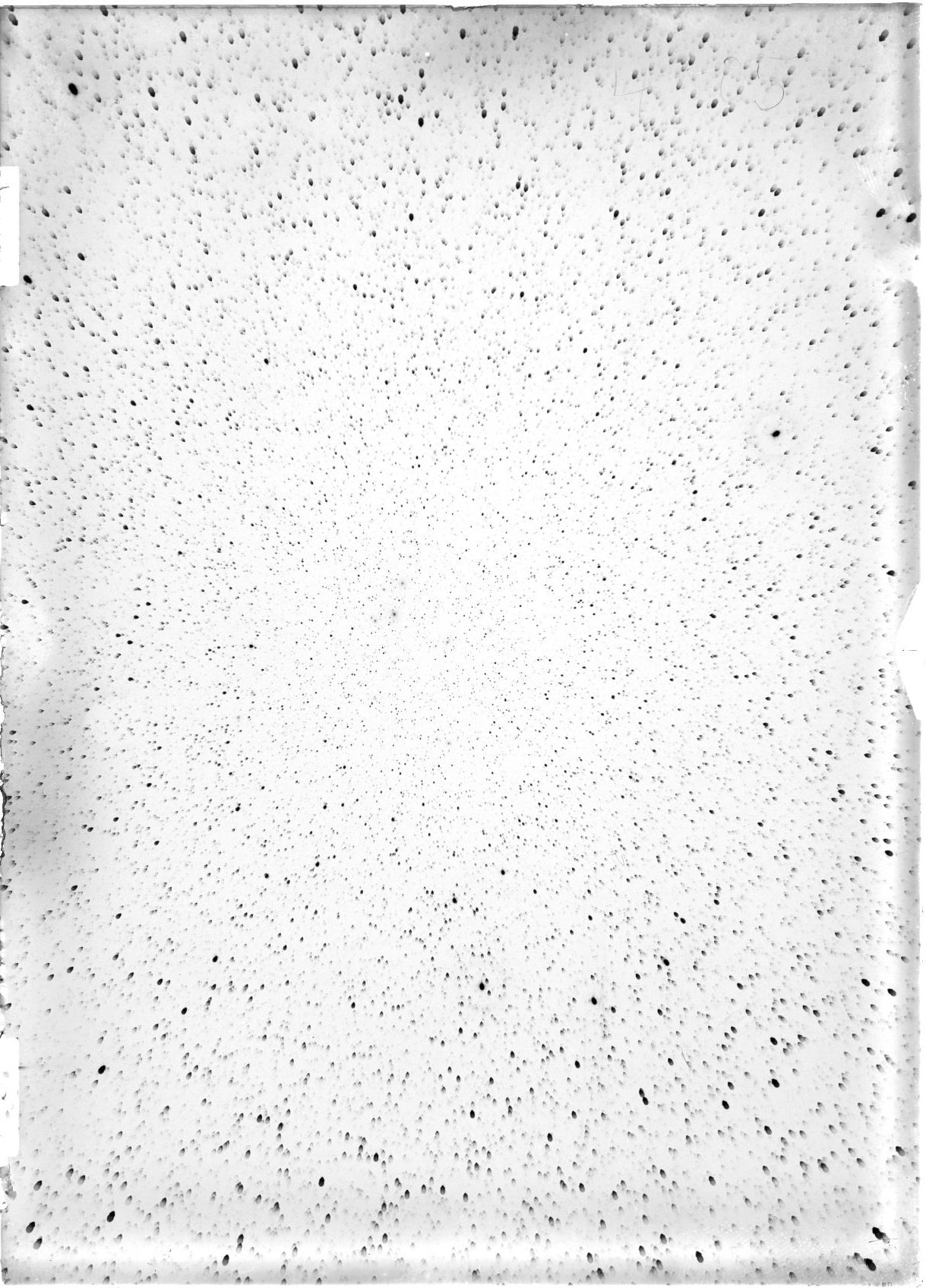 Scan ST04005